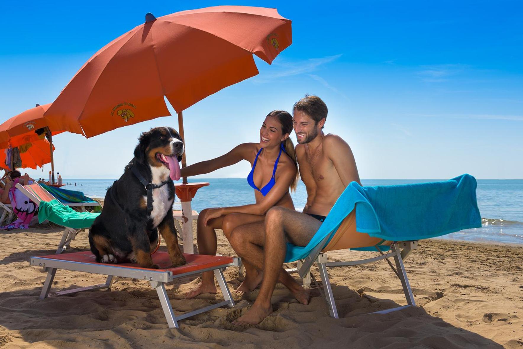 Double or Twin Room with Balcony and Beach Package (Pet Friendly), photo 6