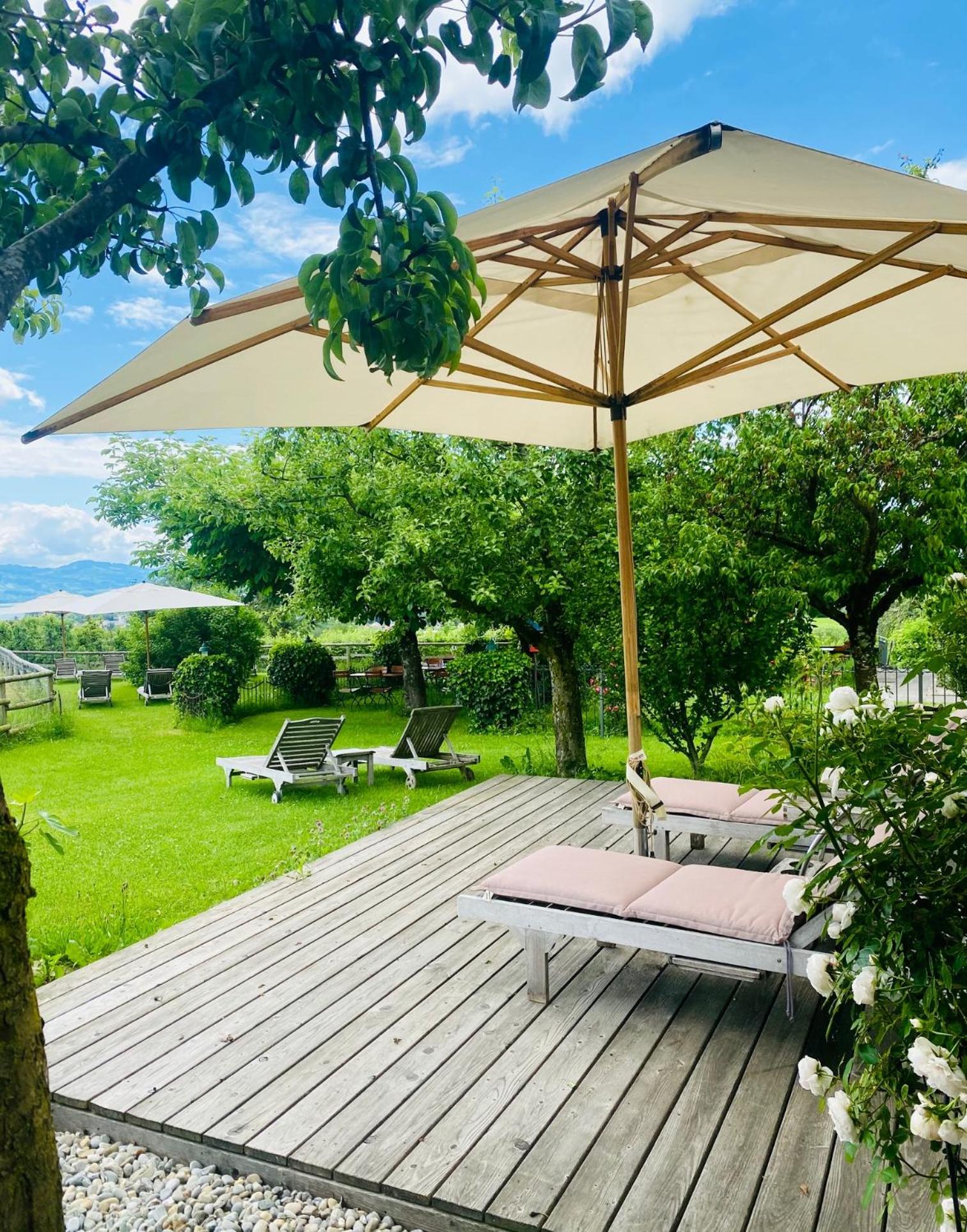 Single Room with Garden View photo 1