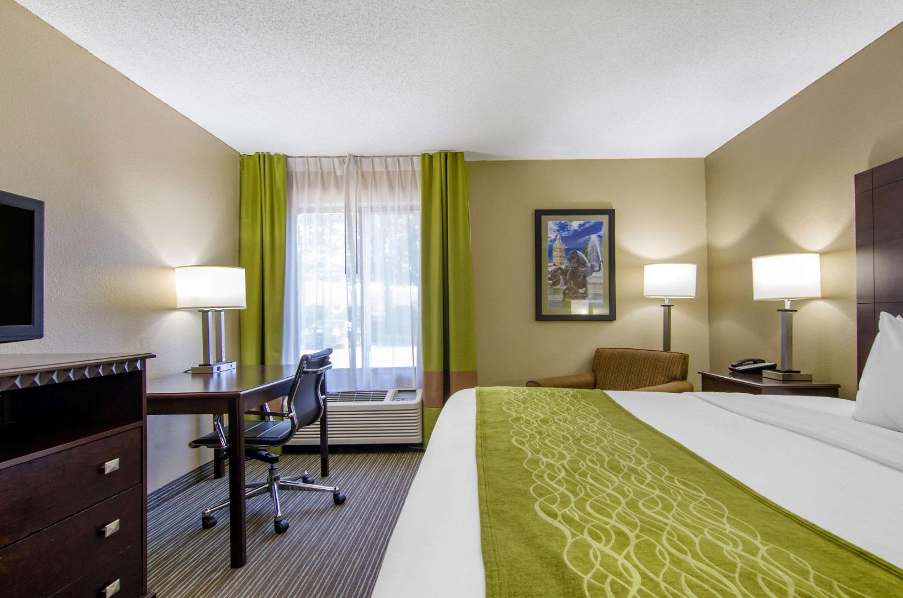 King Room - Non-Smoking - Photo 4
