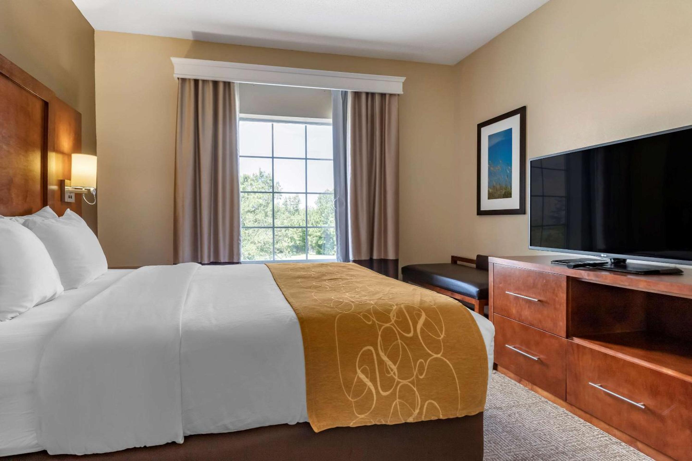 Queen Suite - Disability Access/Non-Smoking - Photo 5