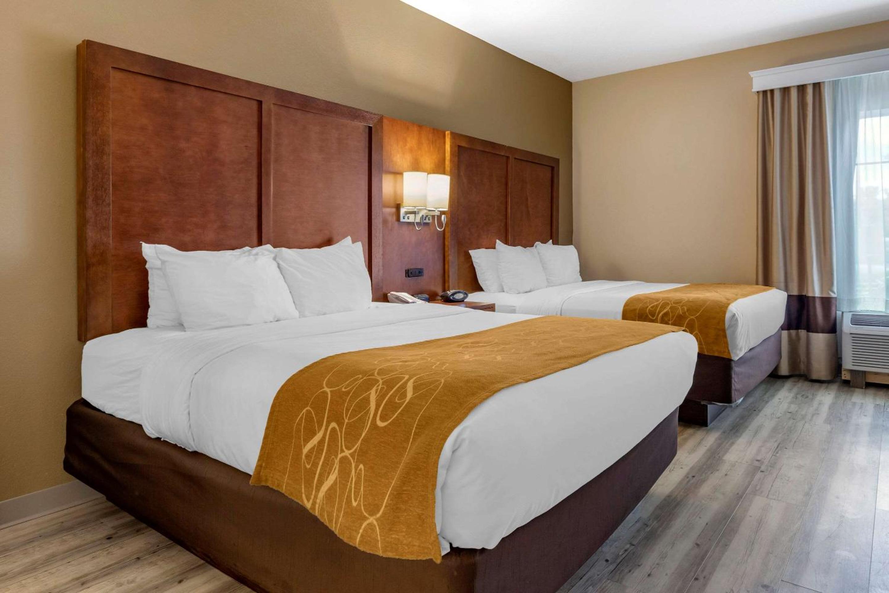 Queen Suite with Two Queen Beds and Sofa Bed - Non-Smoking - Photo 2