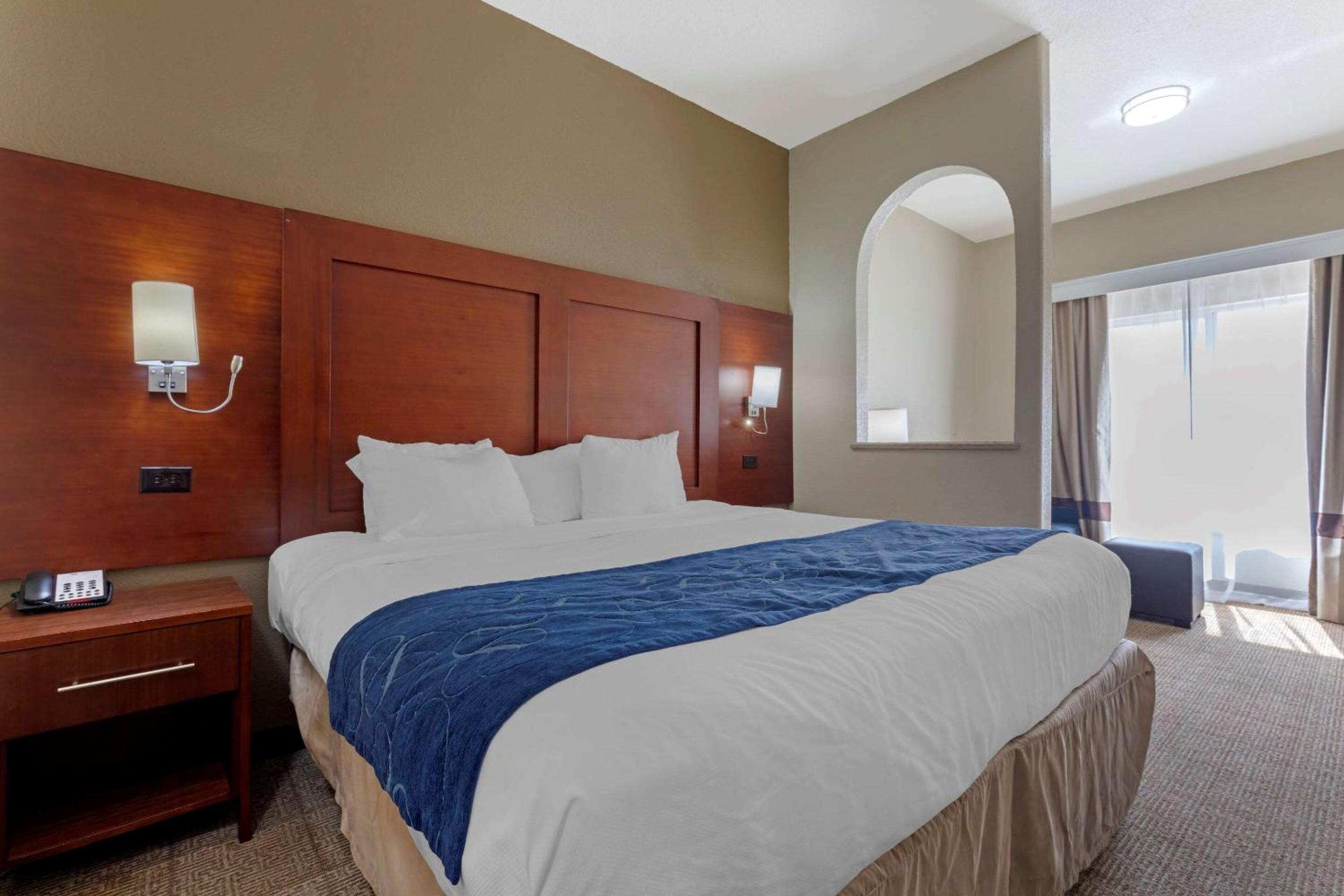 King Suite with Sofa Bed - Photo 9