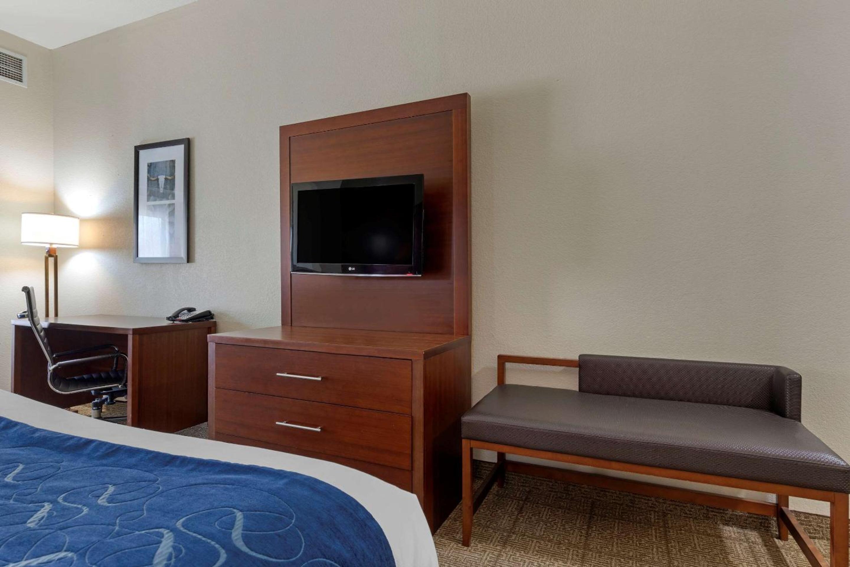 King Suite with Sofa Bed - Photo 1