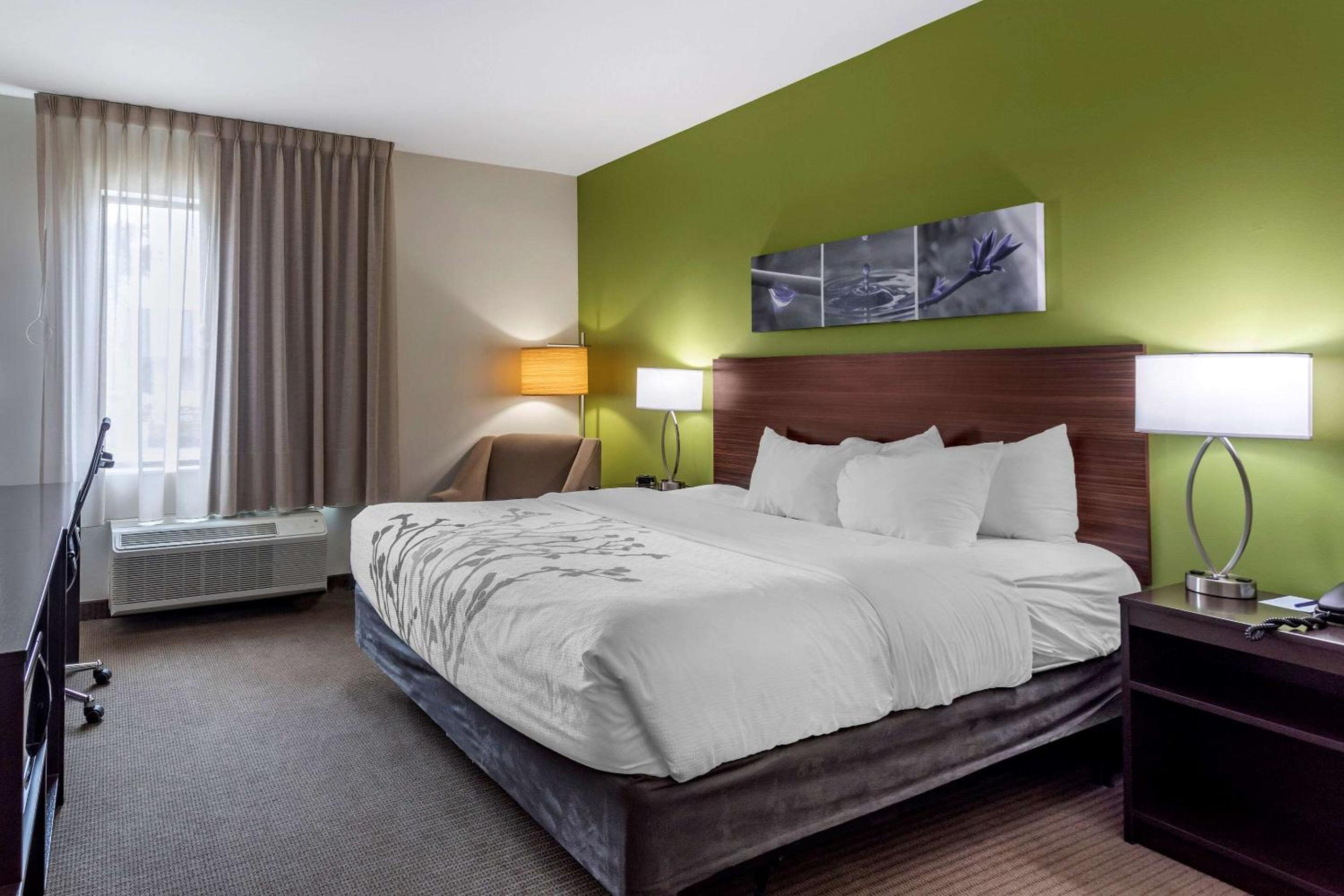 King Room - Accessible/Non-Smoking