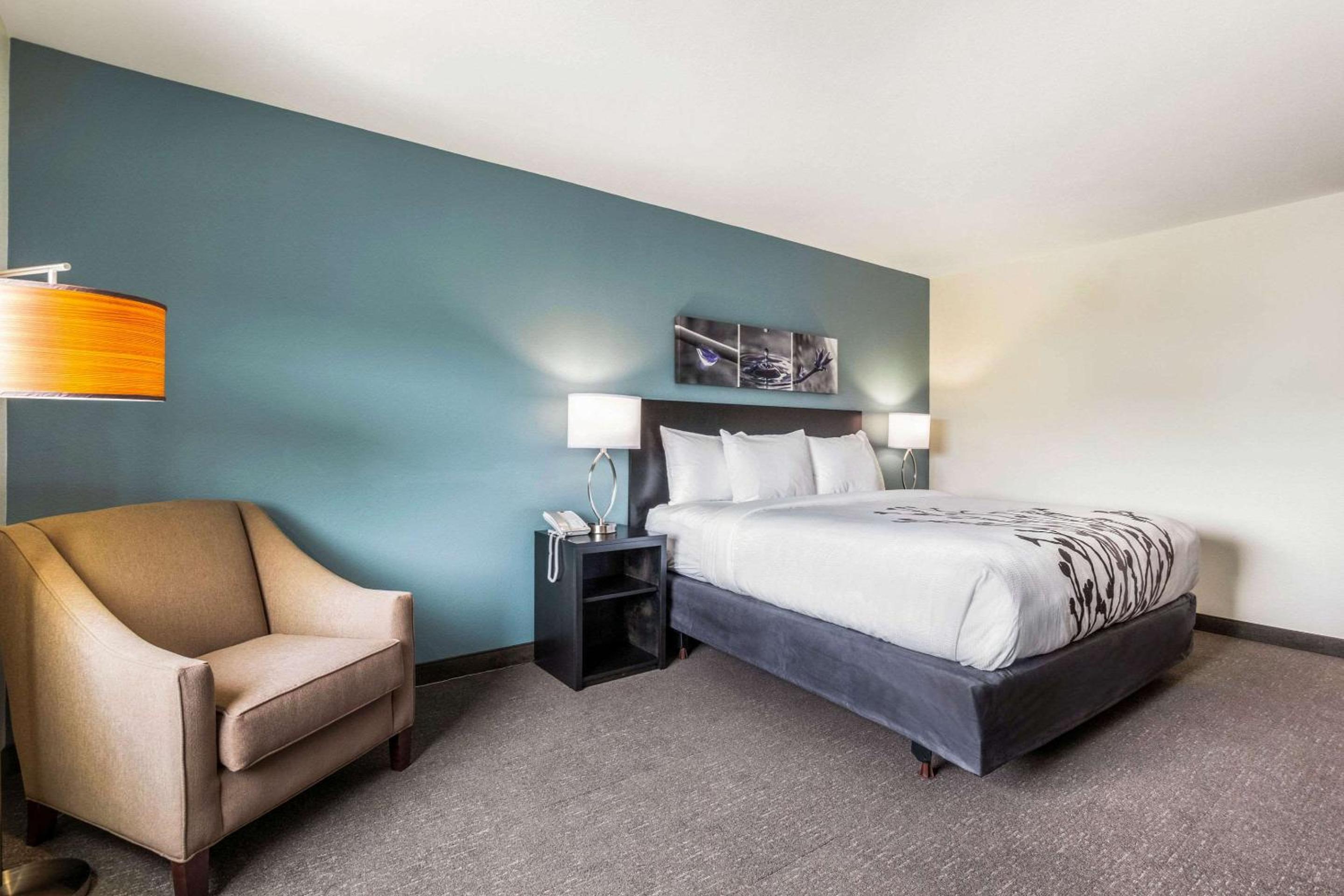 King Room - Non-Smoking - Photo 2