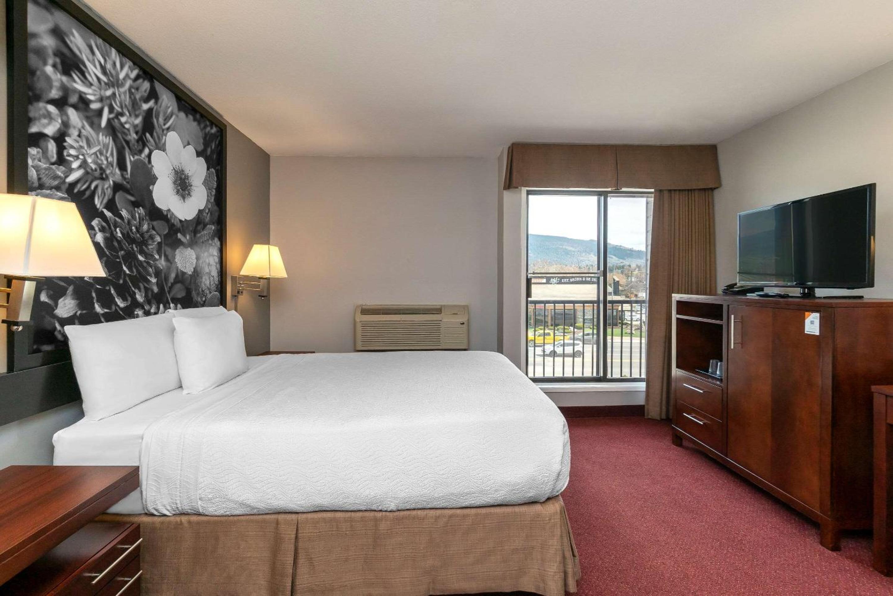 Standard King Room - Non Smoking - Non Pet Friendly - Photo 3