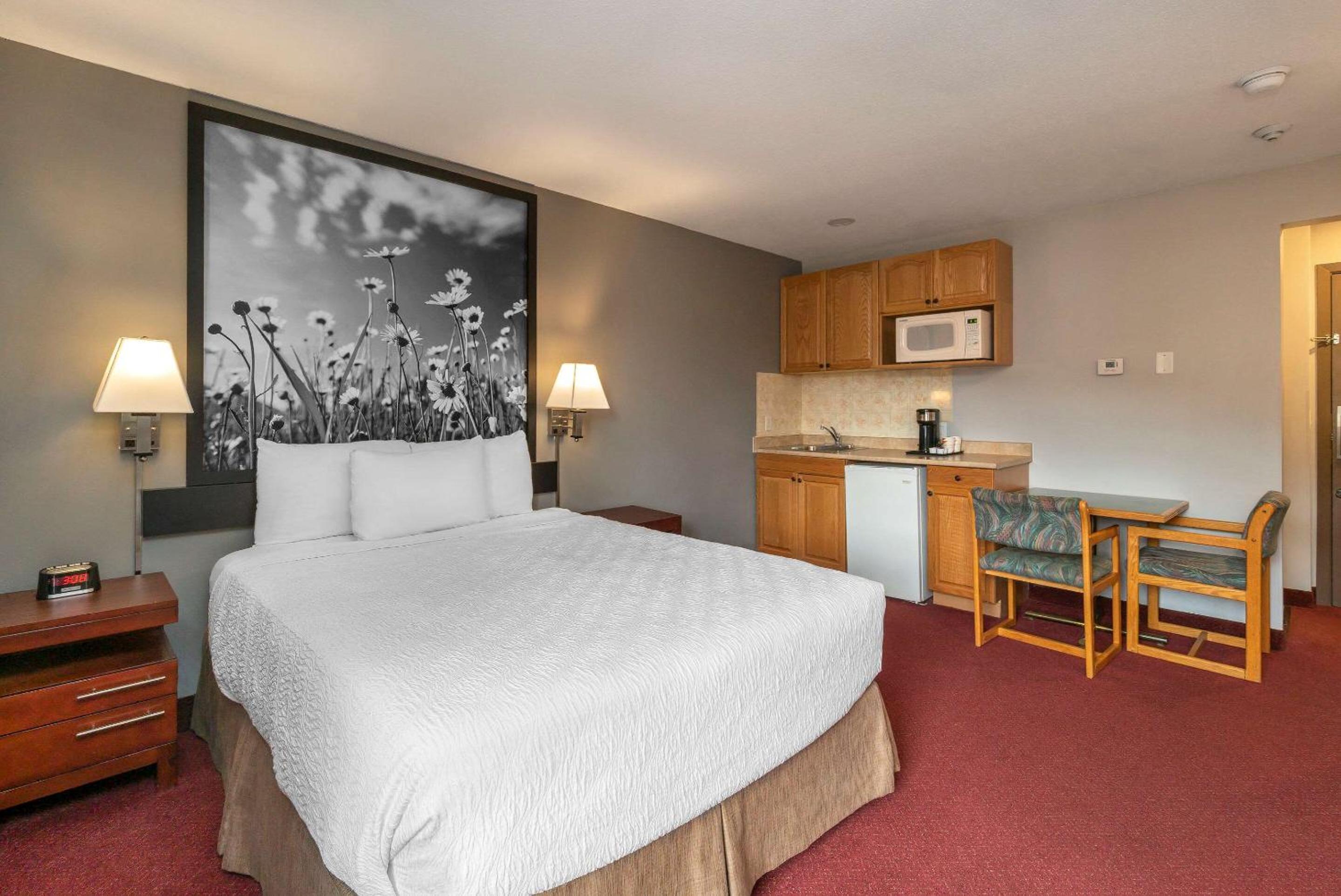 Queen Studio Suite - Non-Smoking - Non Pet Friendly - Photo 3