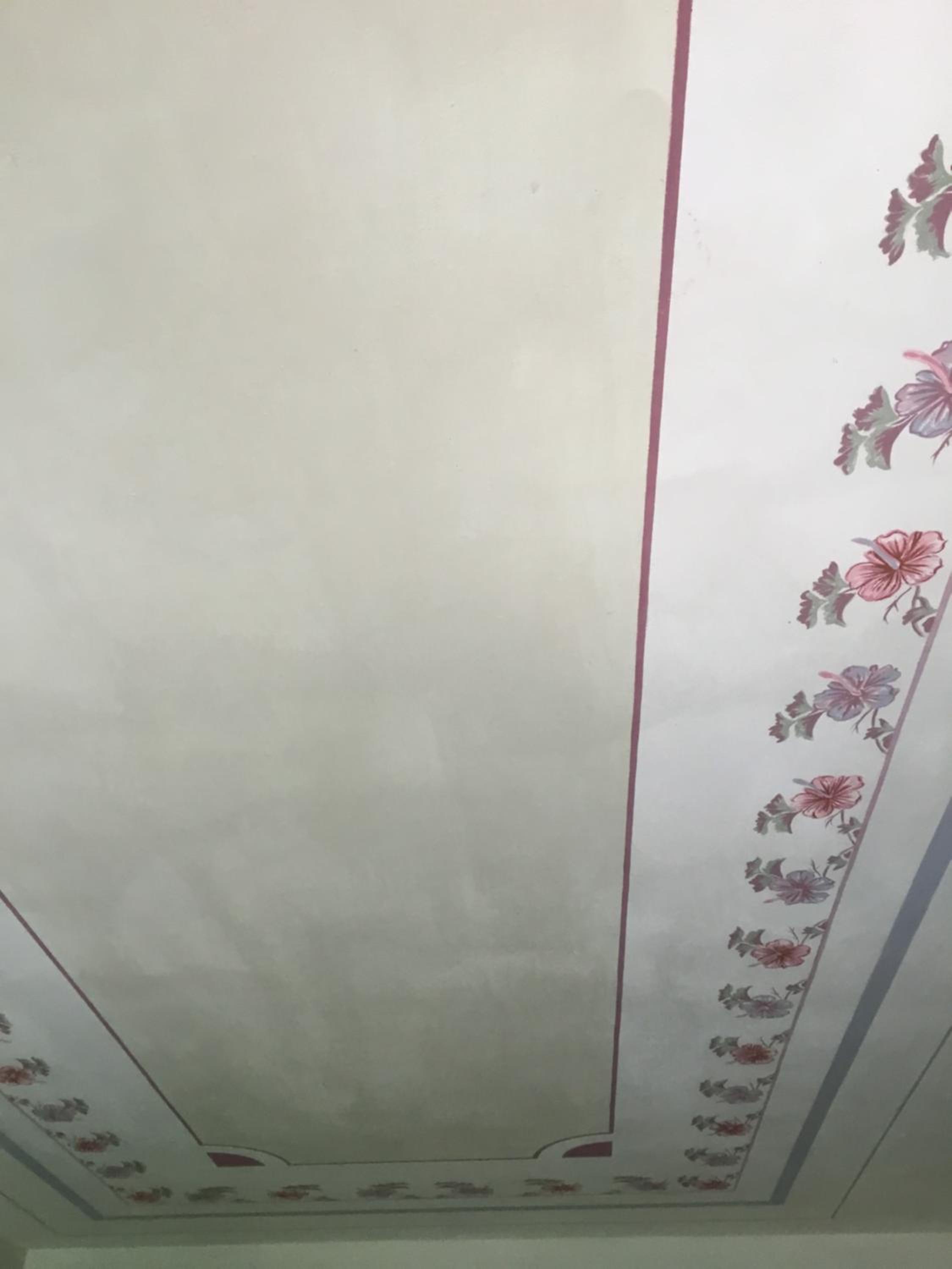 Standard King Room photo 3