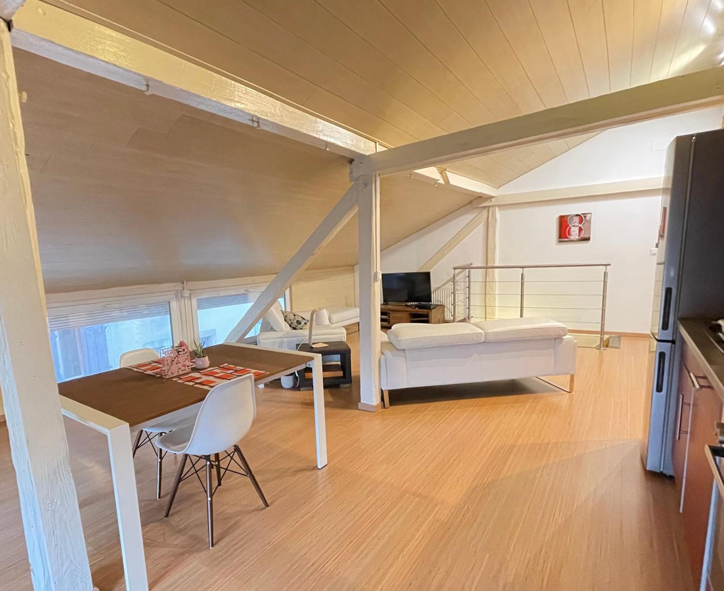 Duplex Apartment photo 2