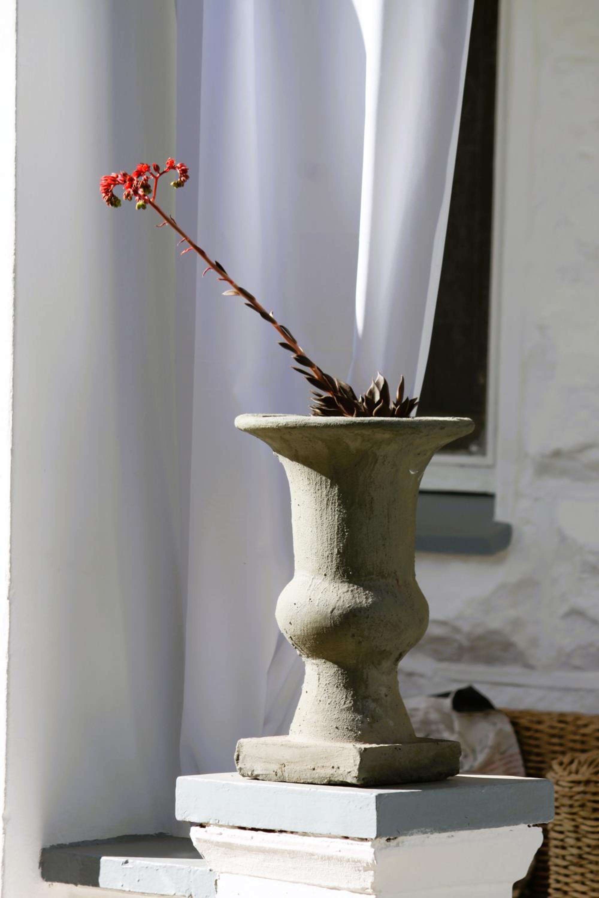 Cottage with Garden View - Photo 23