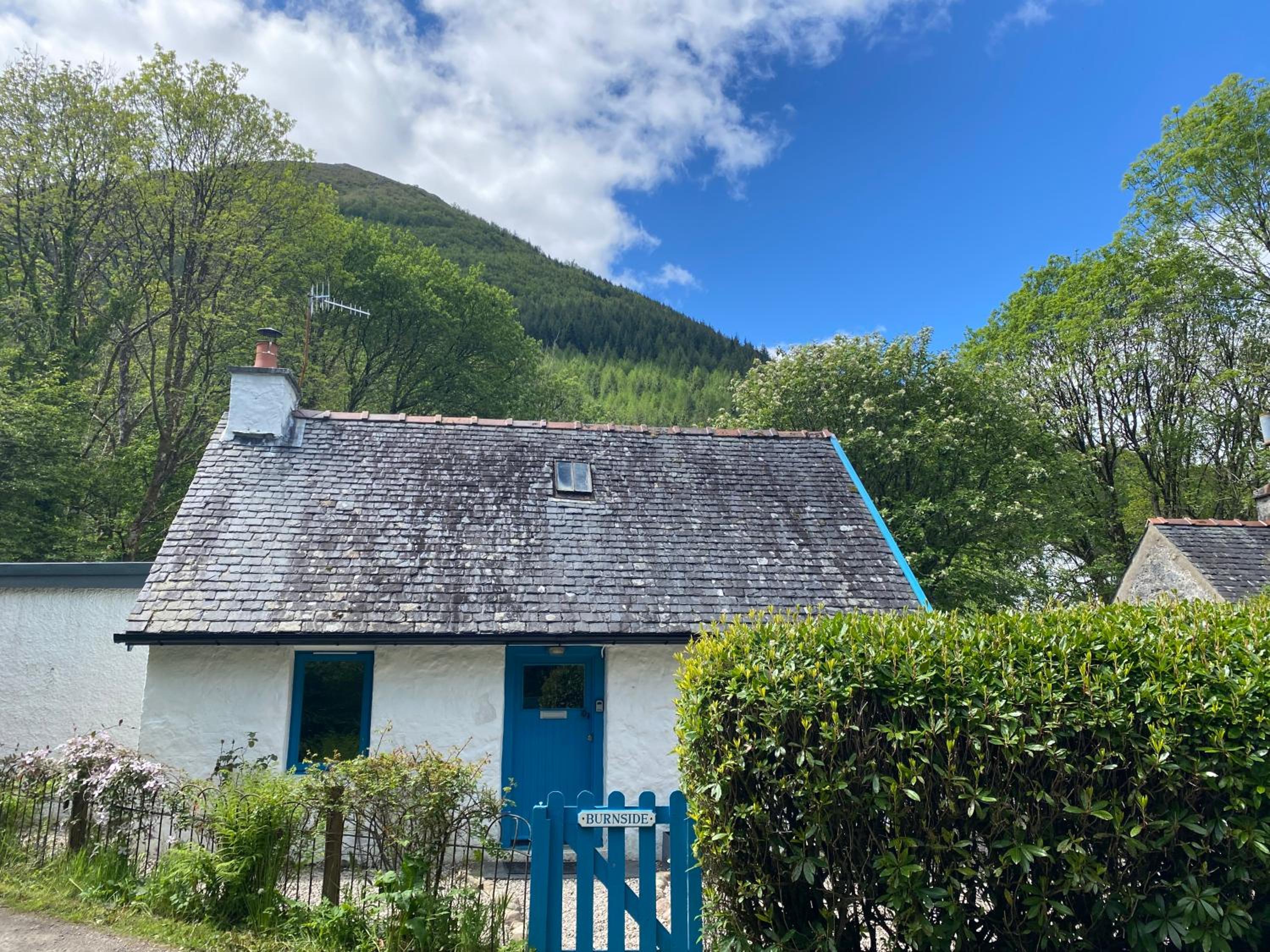 One-Bedroom Cottage photo 2
