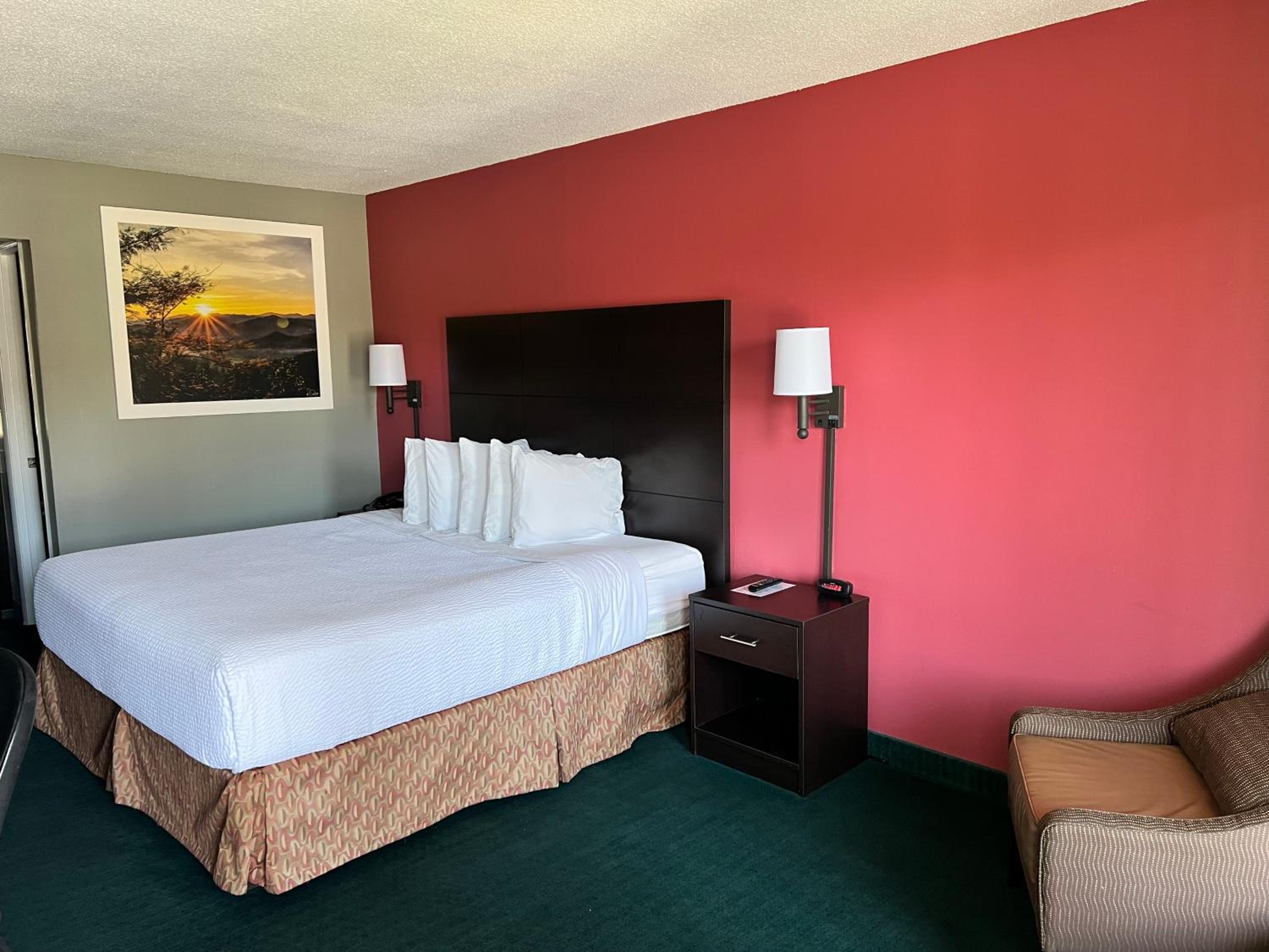 Pet Friendly Room with One King Bed - Non-Smoking - Photo 4