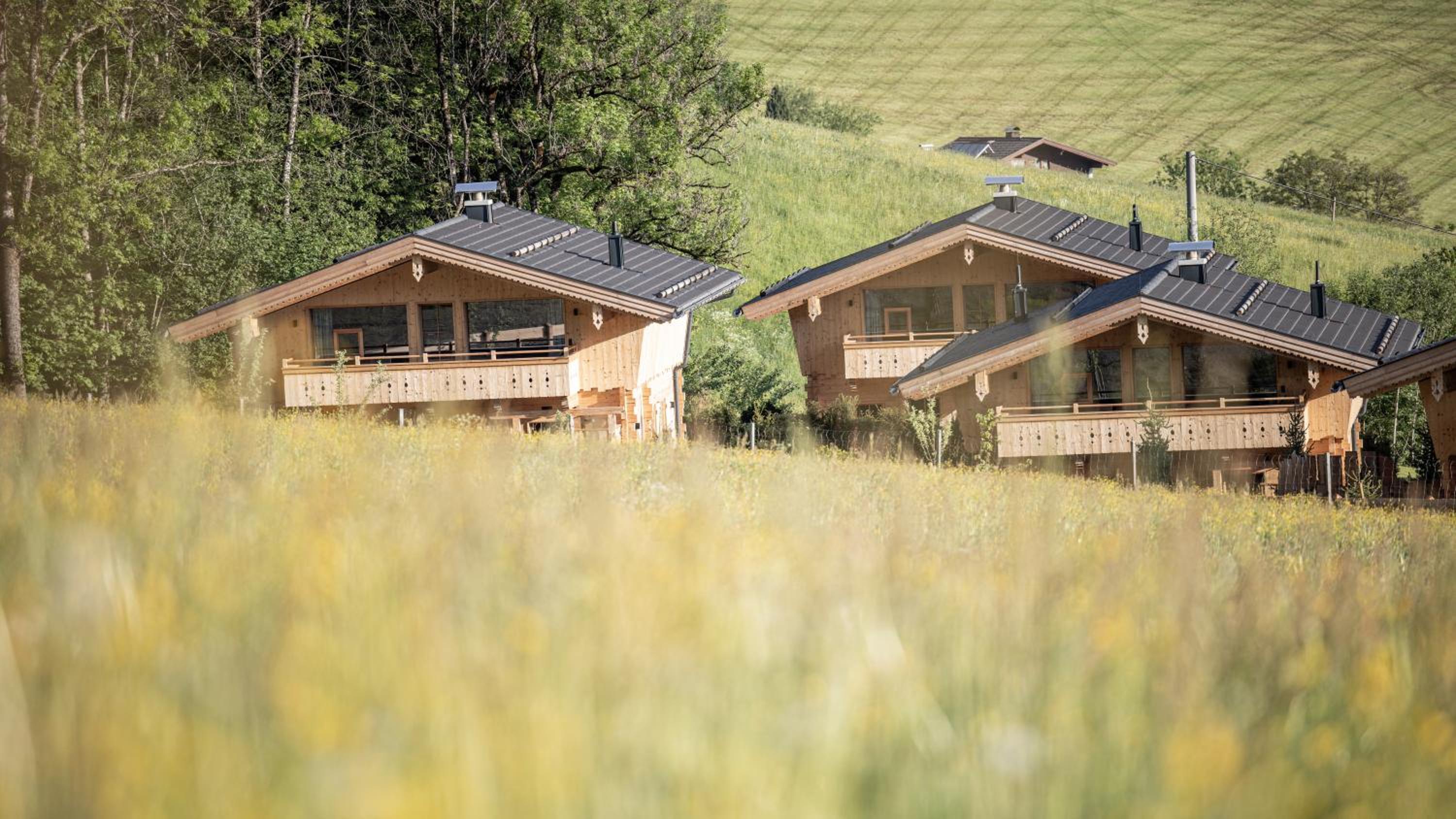 Two-Bedroom Chalet - Photo 41