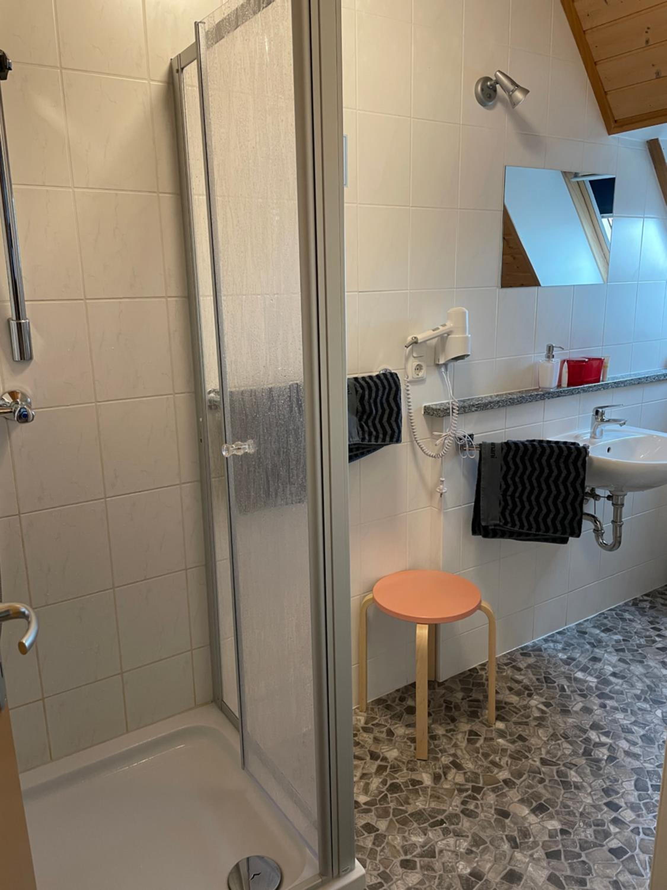 Family Room with Shower photo 3