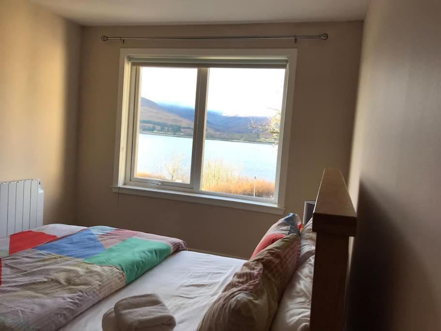 One-Bedroom Apartment - Photo 6