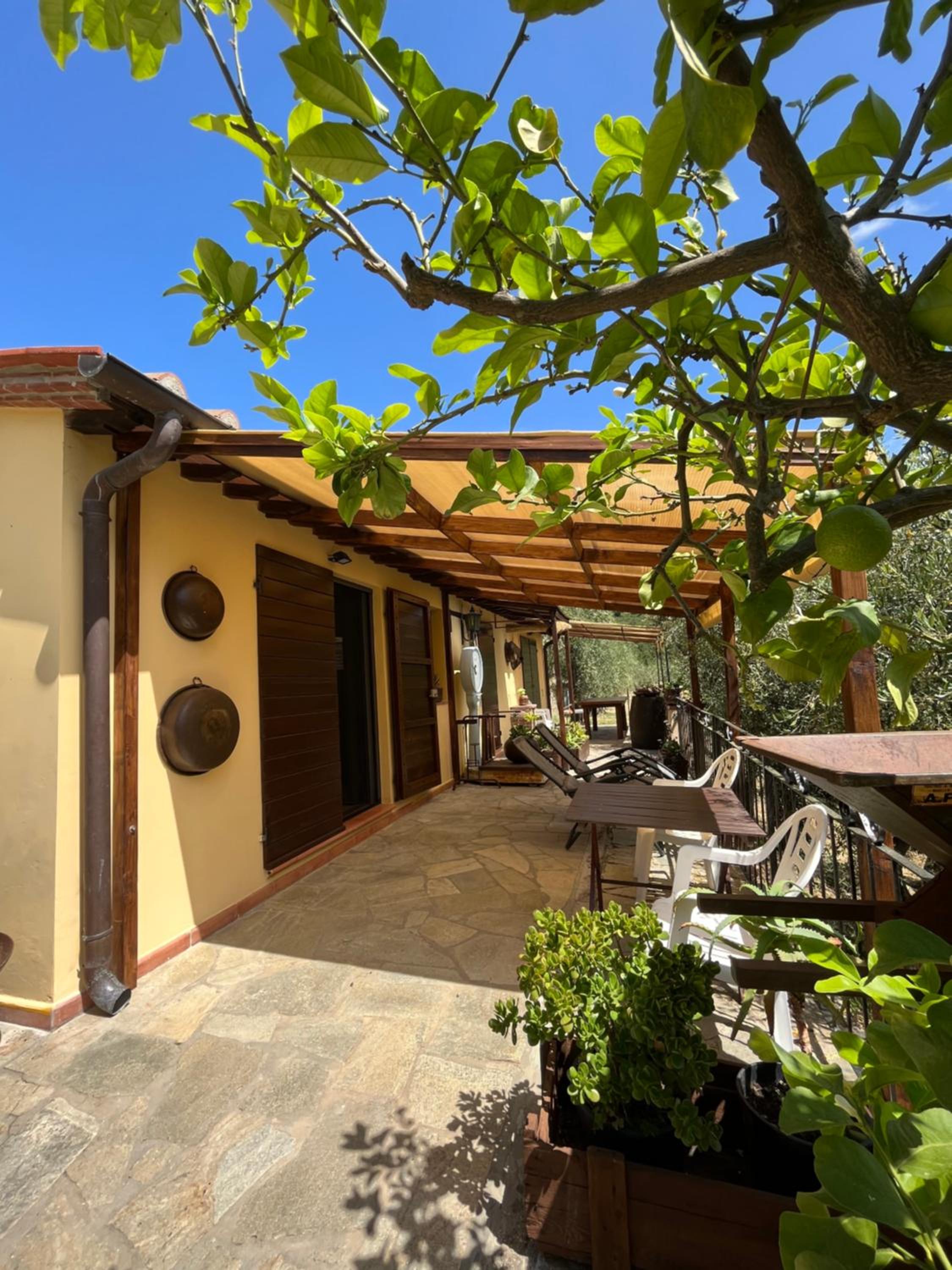 One-Bedroom House
