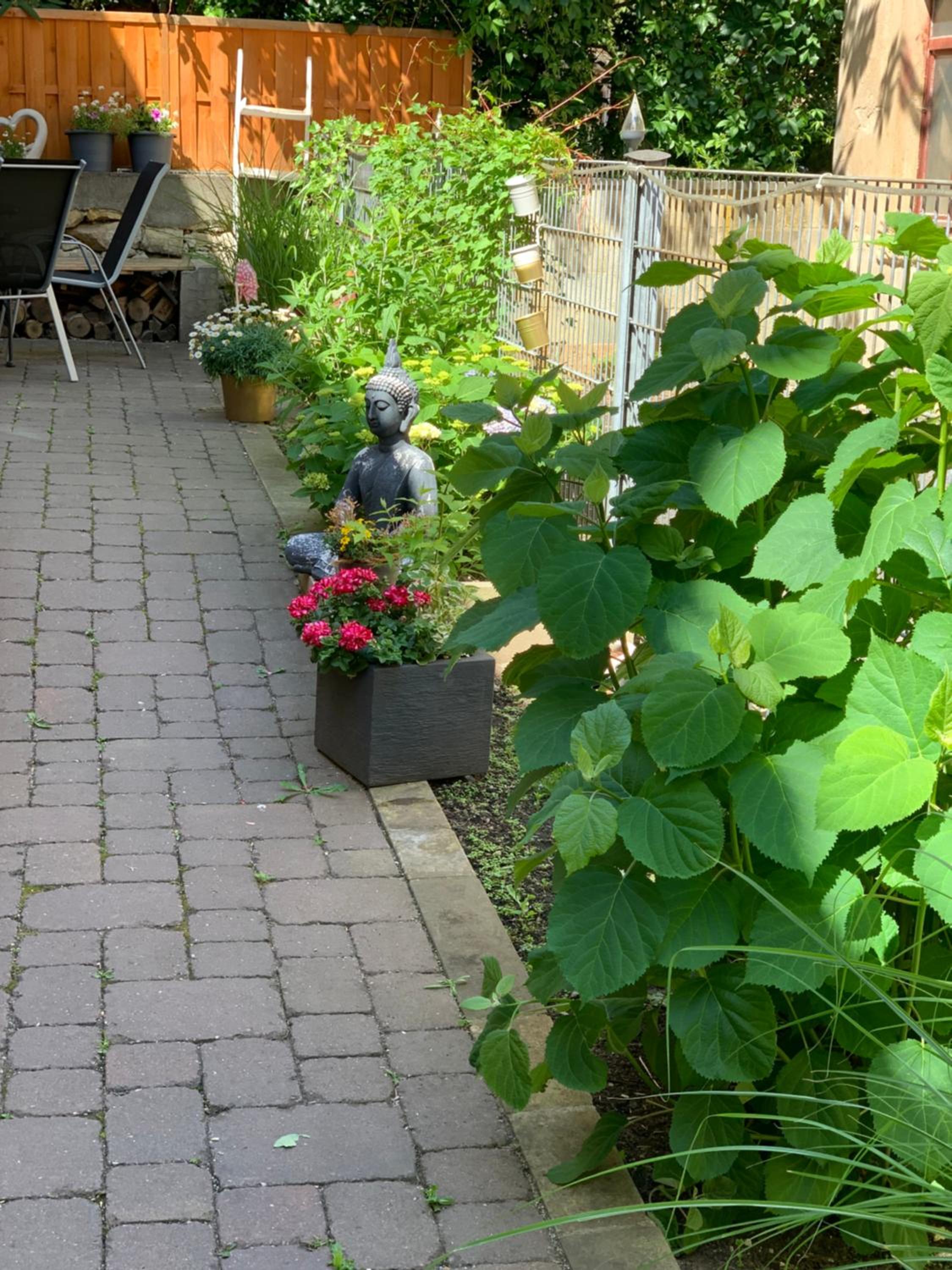 Apartment with Garden View photo 2
