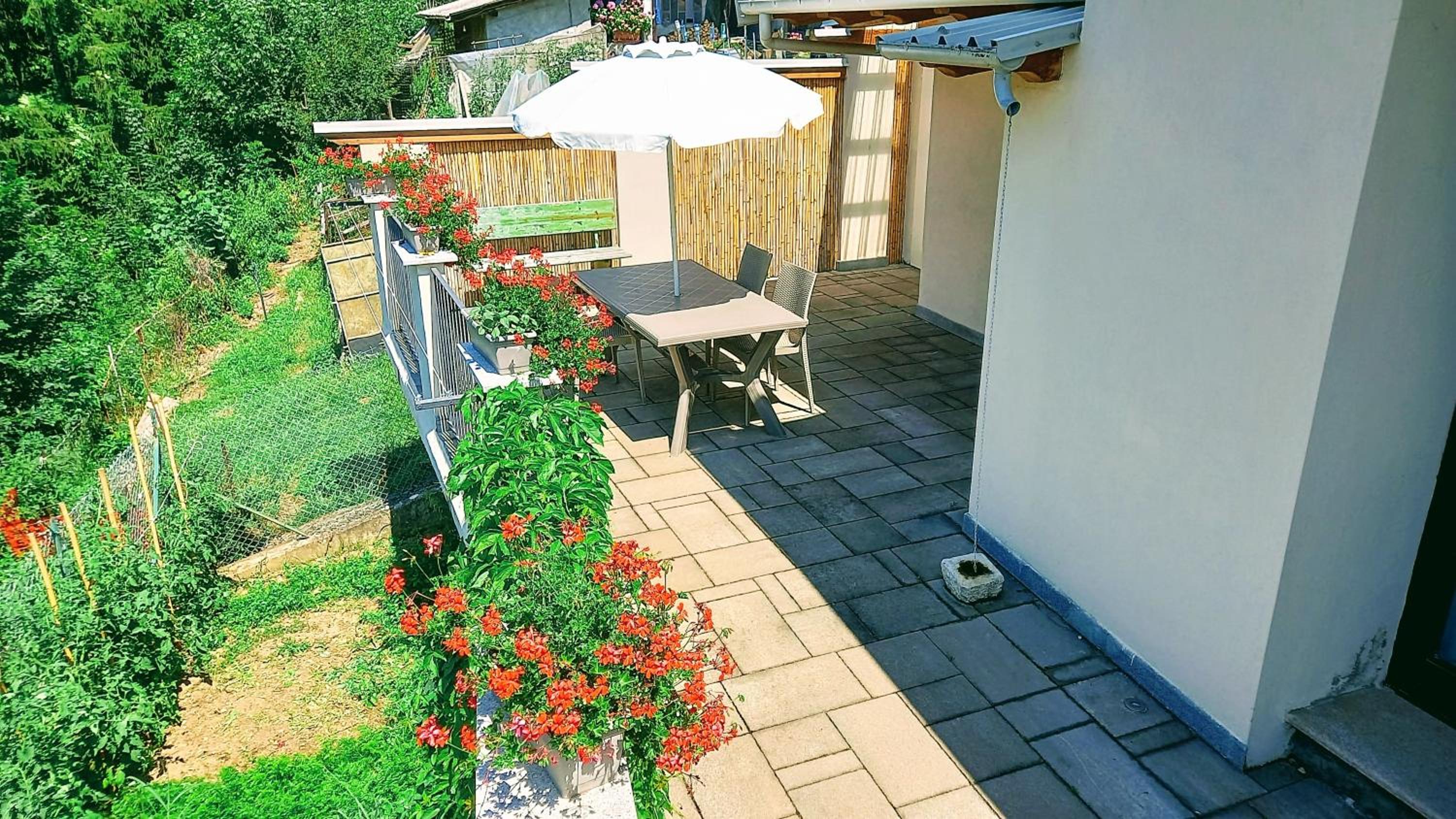 One-Bedroom House with Terrace photo 3