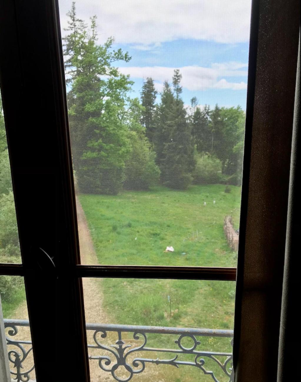 King Room with Garden View photo 1