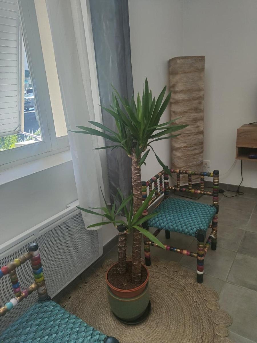 Apartment with Terrace - Photo 28