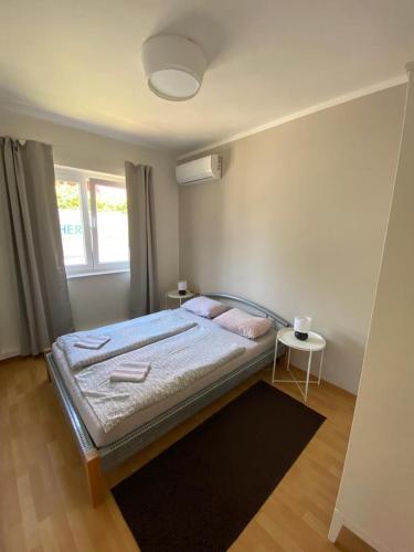 Apartment with Terrace photo 2