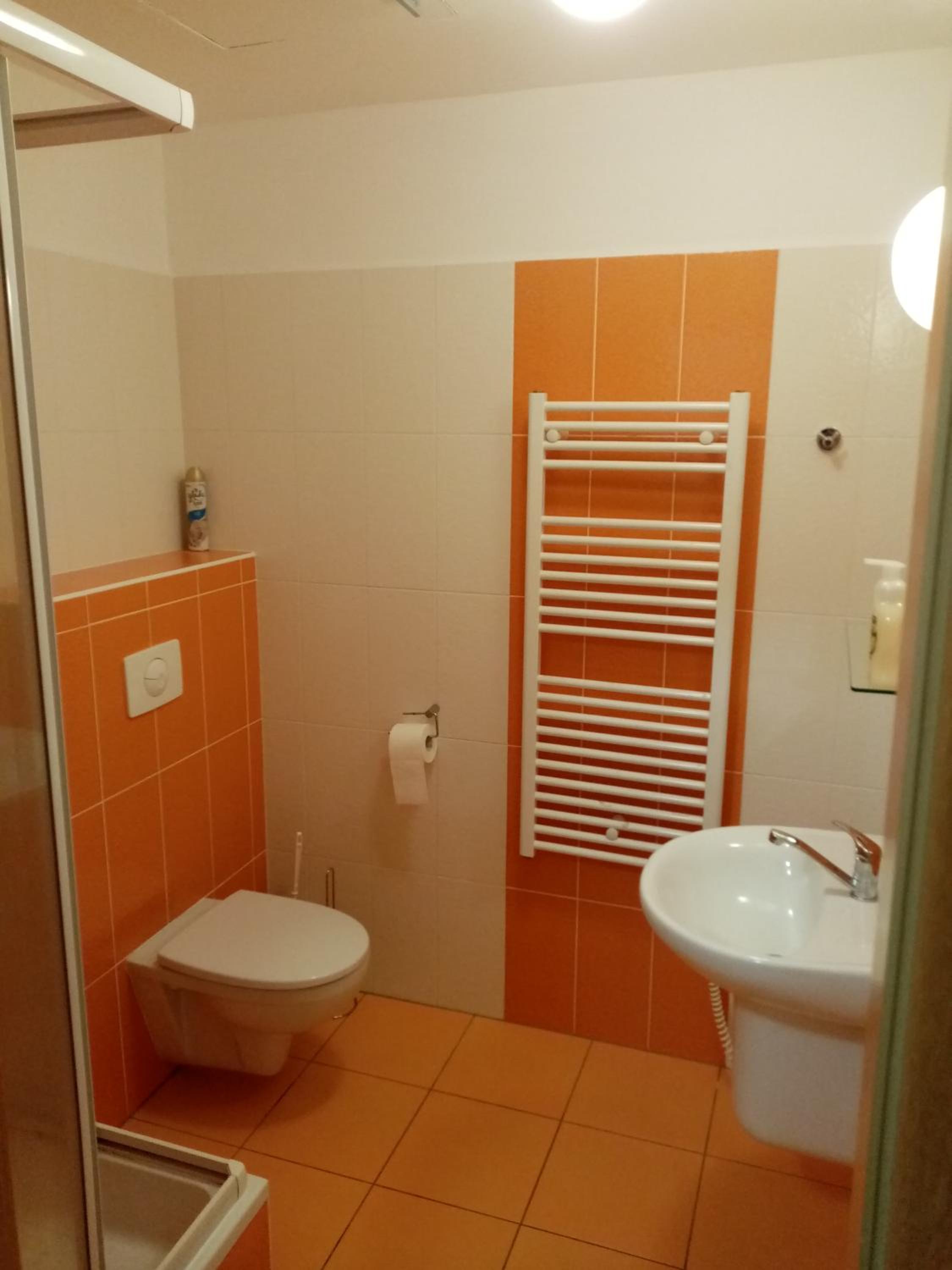 One-Bedroom Apartment - Photo 9