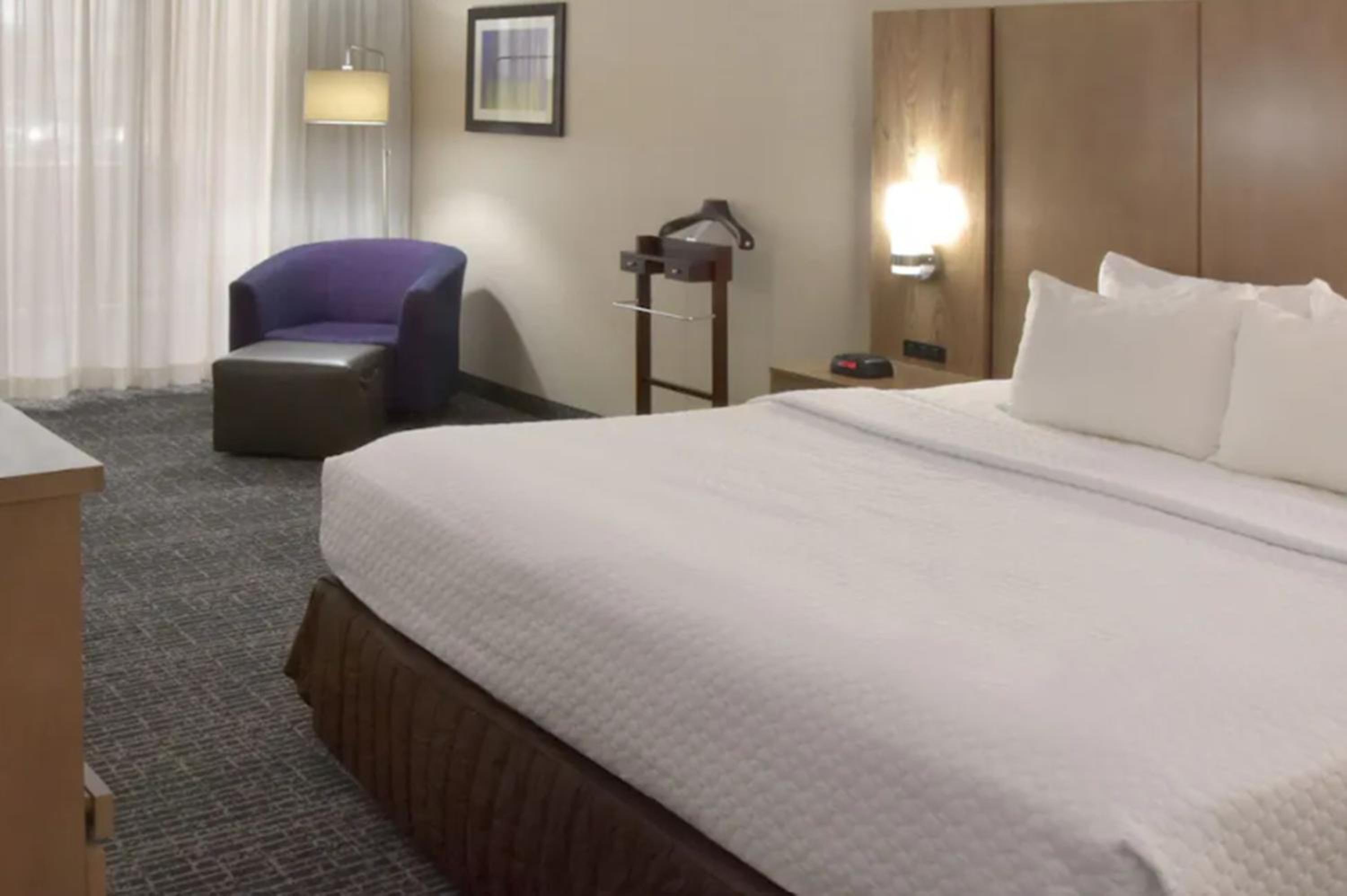 King Suite with Sofa Bed photo 3