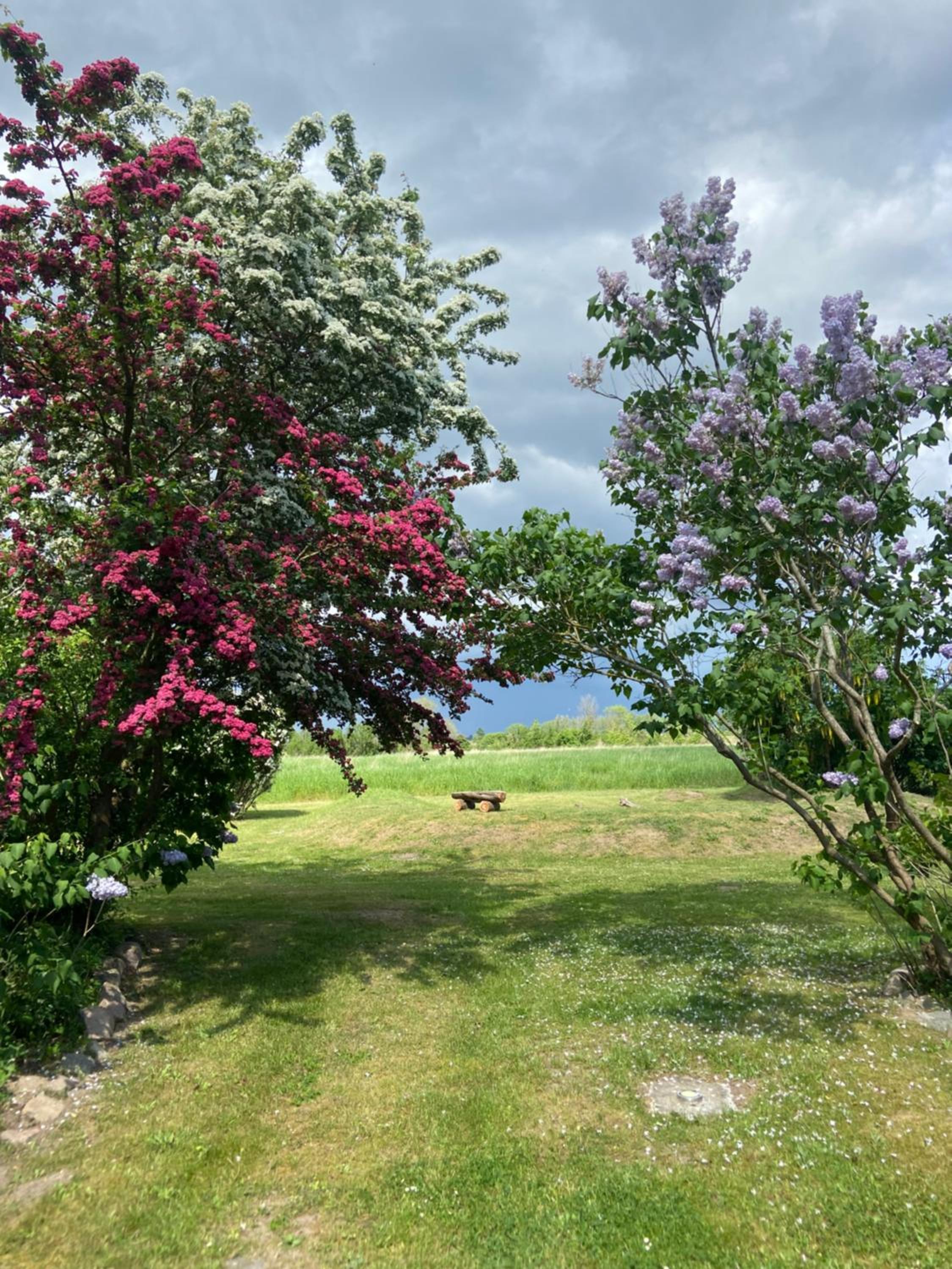 Vacation Home photo 2