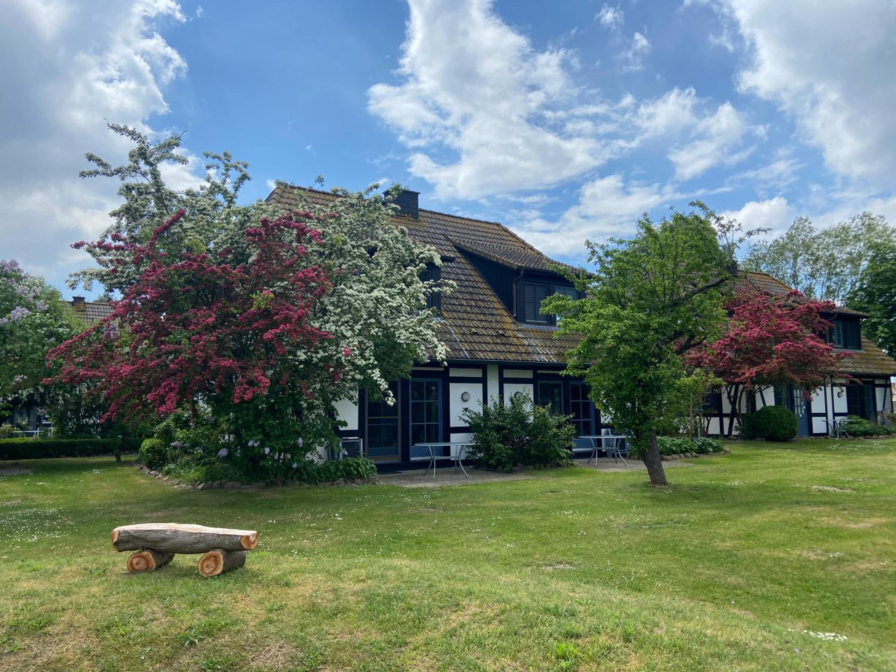 Vacation Home photo 3