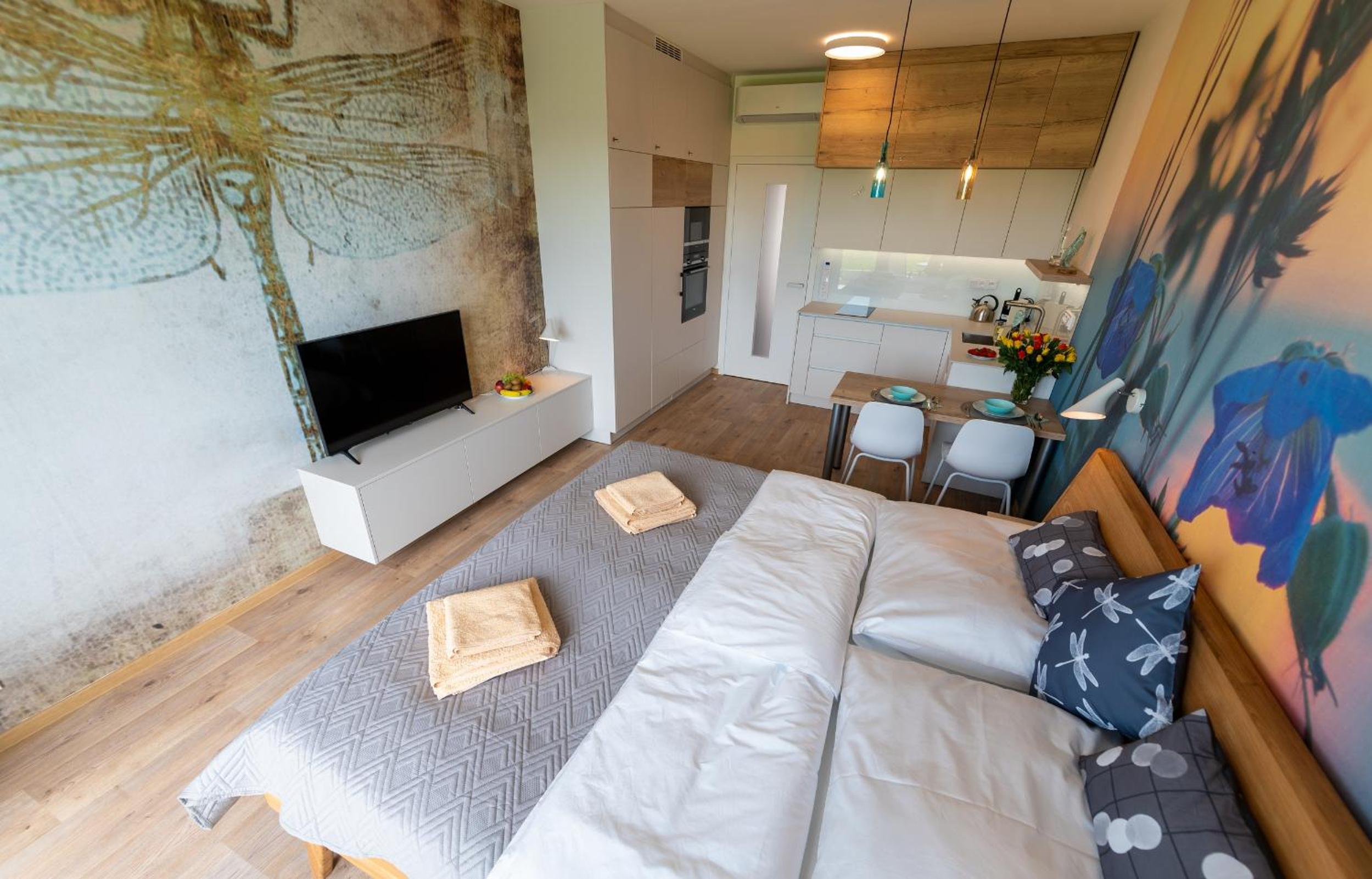 Apartment with Terrace photo 1