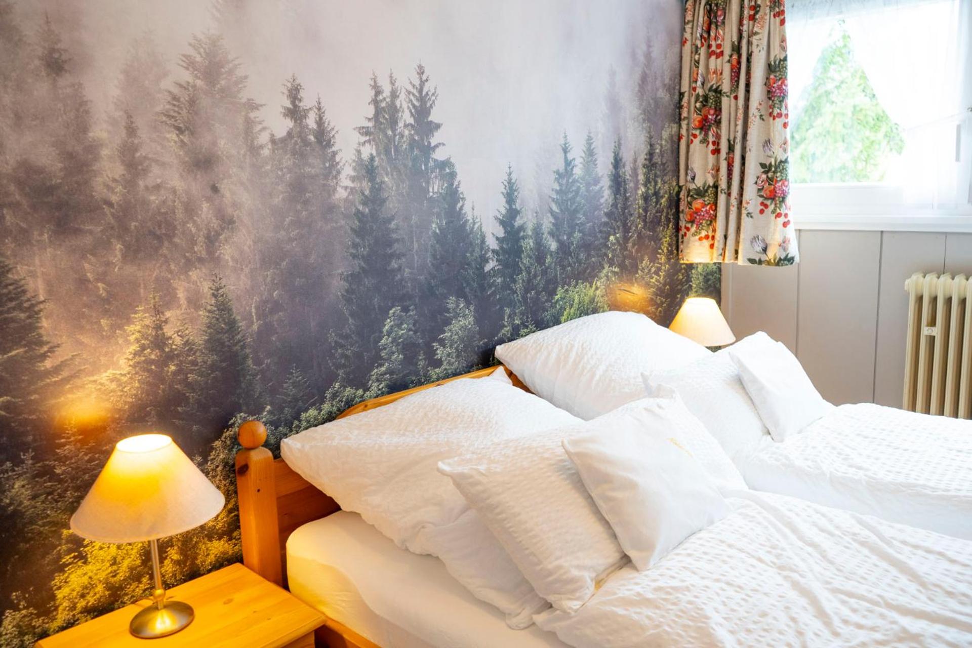 Junior Suite with Mountain View - Photo 1