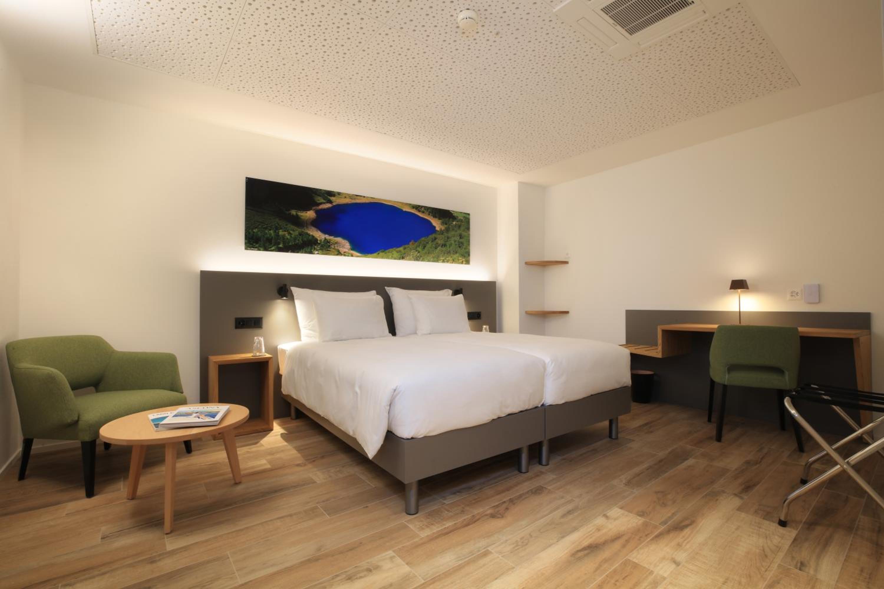 Suite - Photo 1