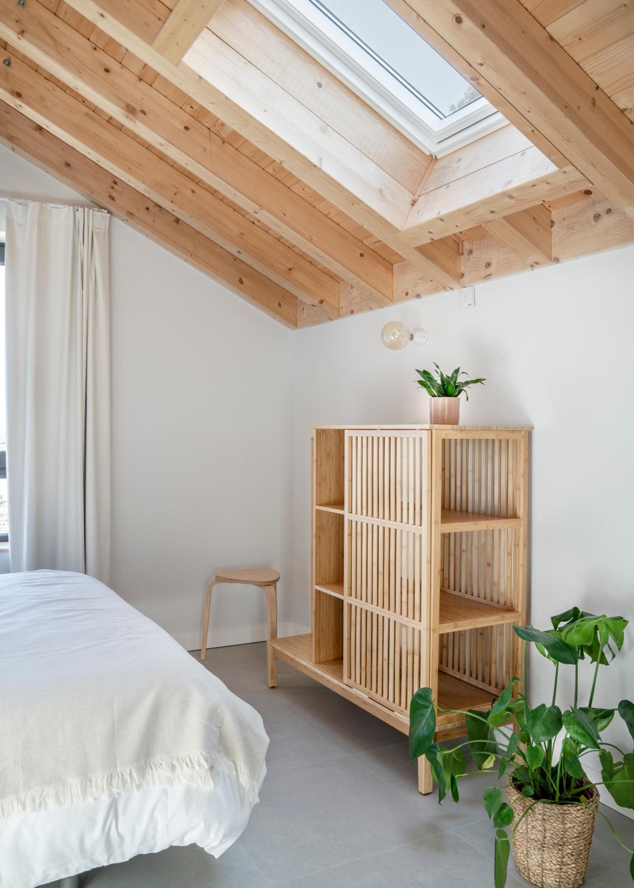 Estudio King con Sofá Cama