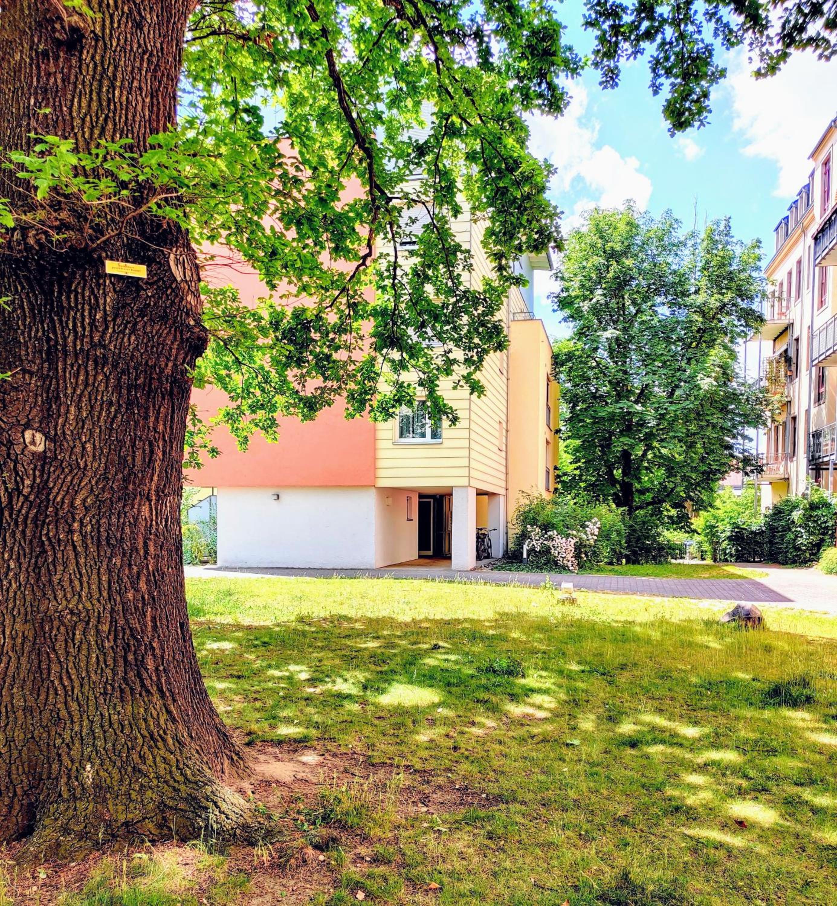 Studio Apartment - Photo 10