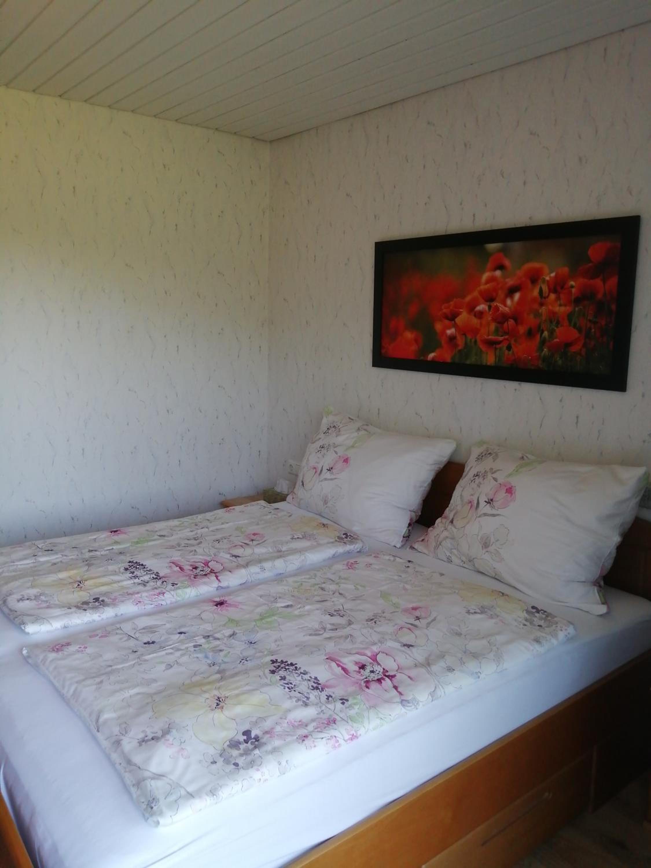 Double Room with Balcony photo 2