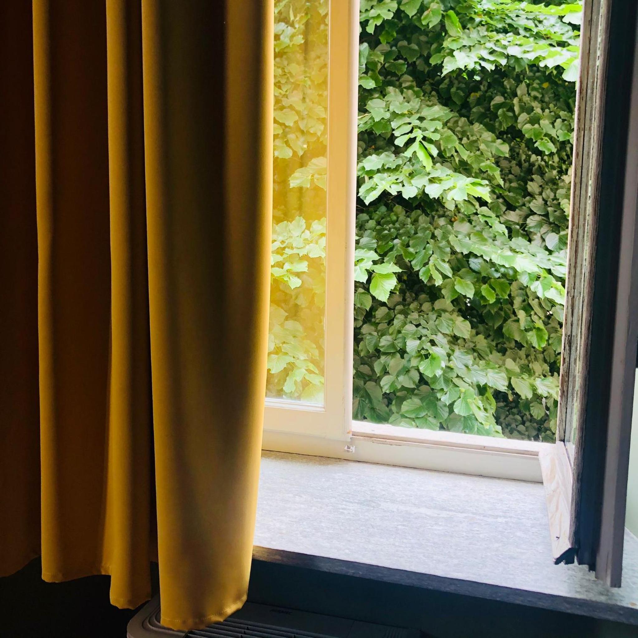 Deluxe Double or Twin Room with Mountain View photo 3