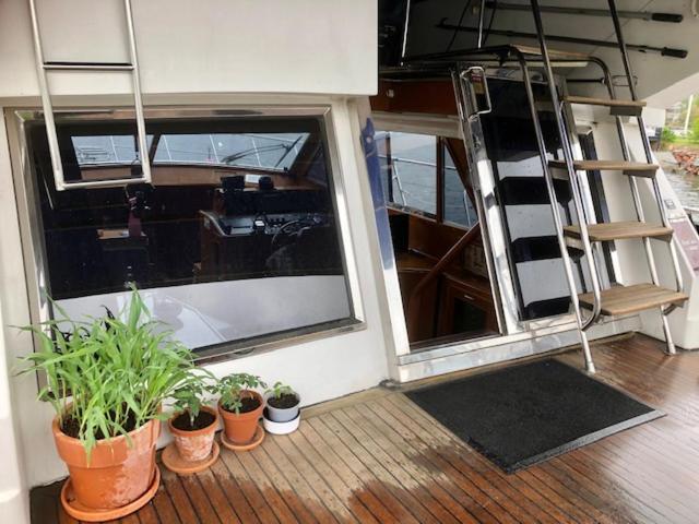 Studio with Lake View photo 2