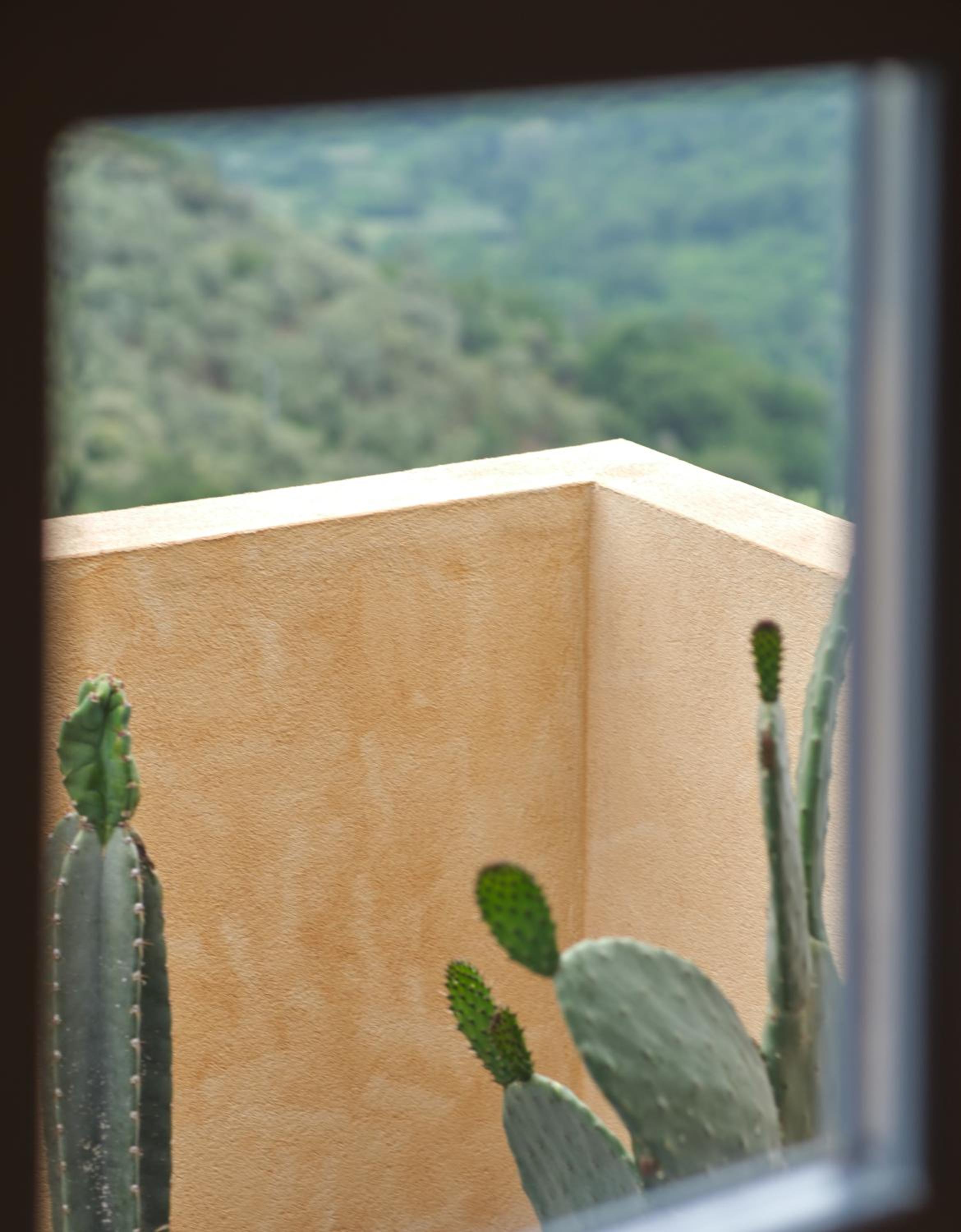 Apartment with Terrace photo 3