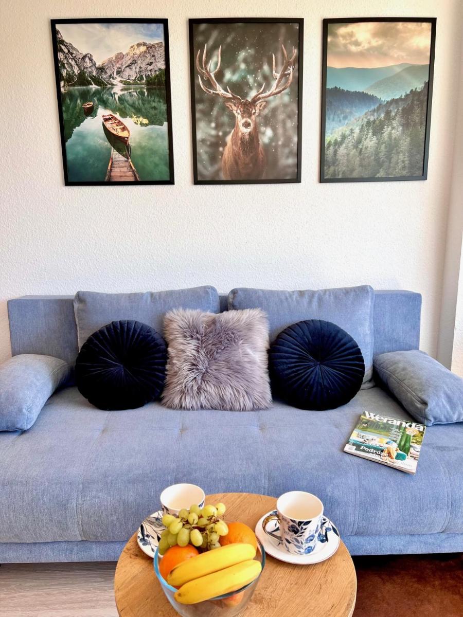 One-Bedroom Apartment - Photo 38