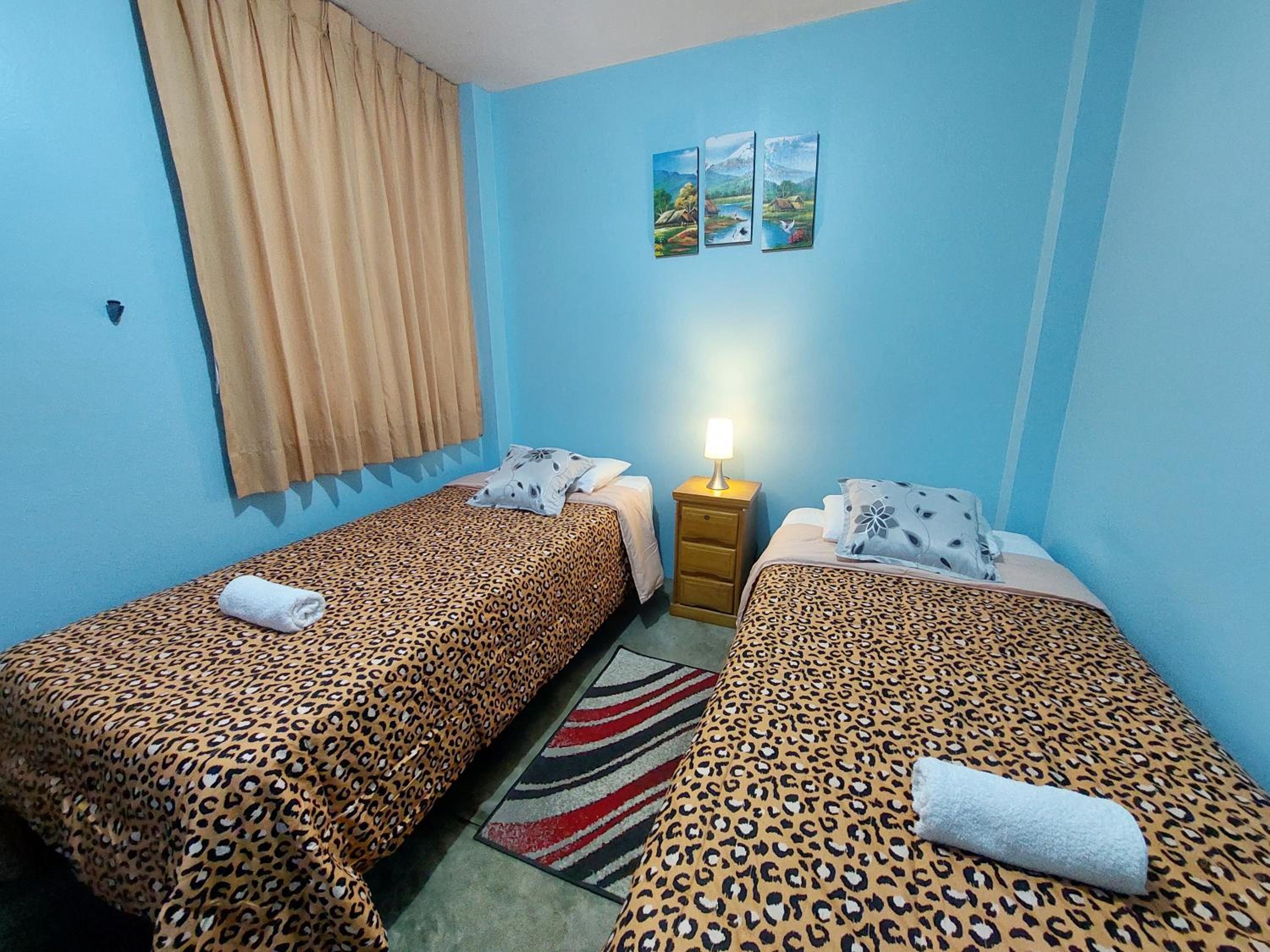 Twin Room photo 2