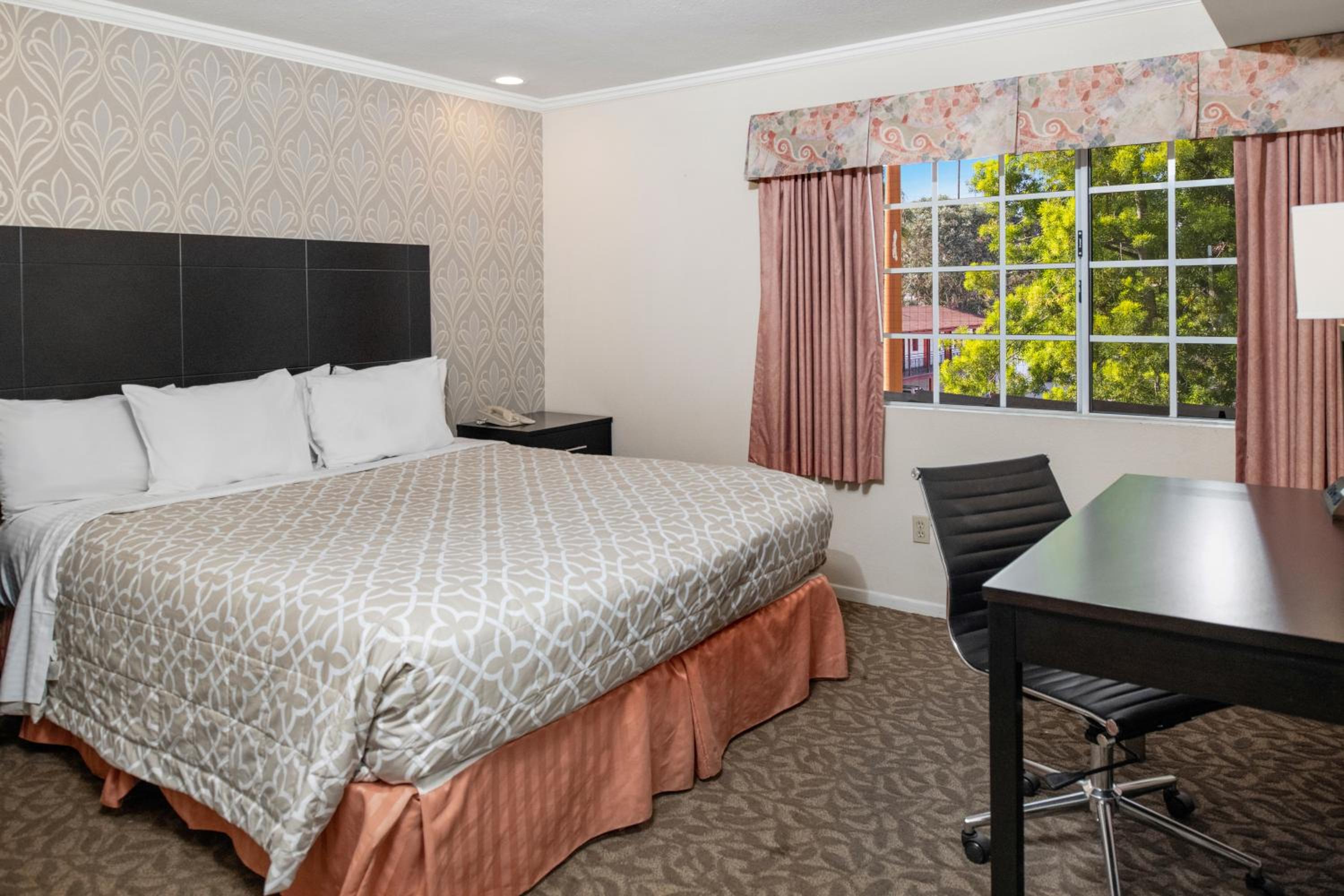 Queen room