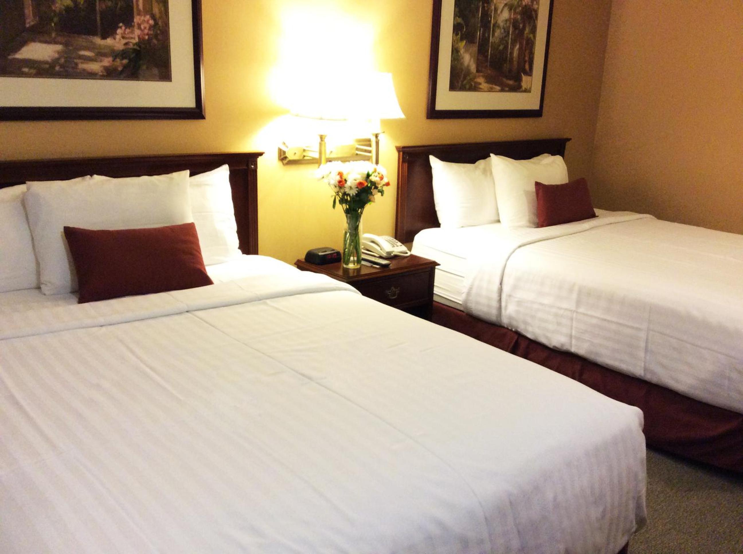Queen Room with Two Queen Beds - Non-Smoking - Photo 5