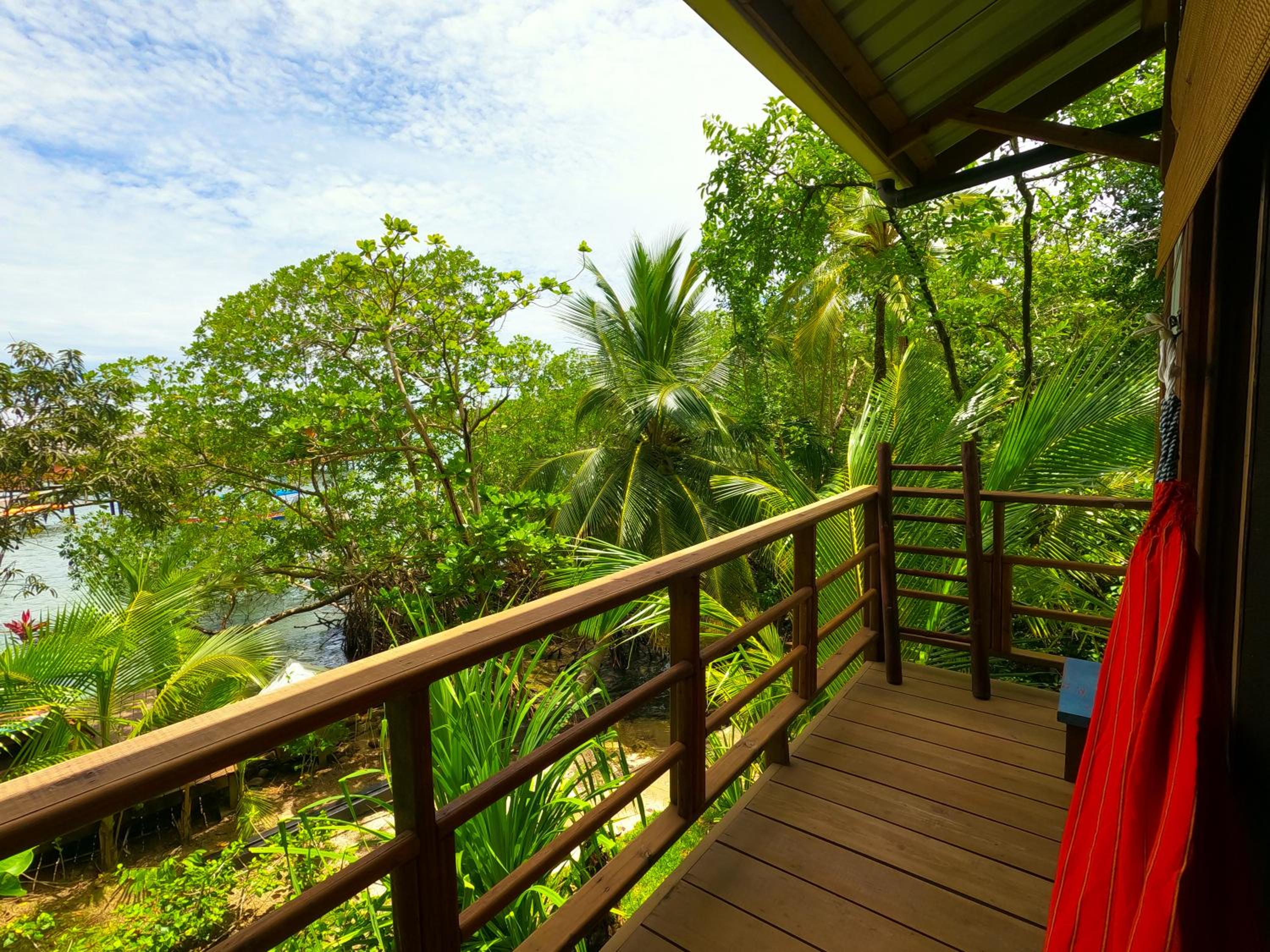 Tree House photo 3