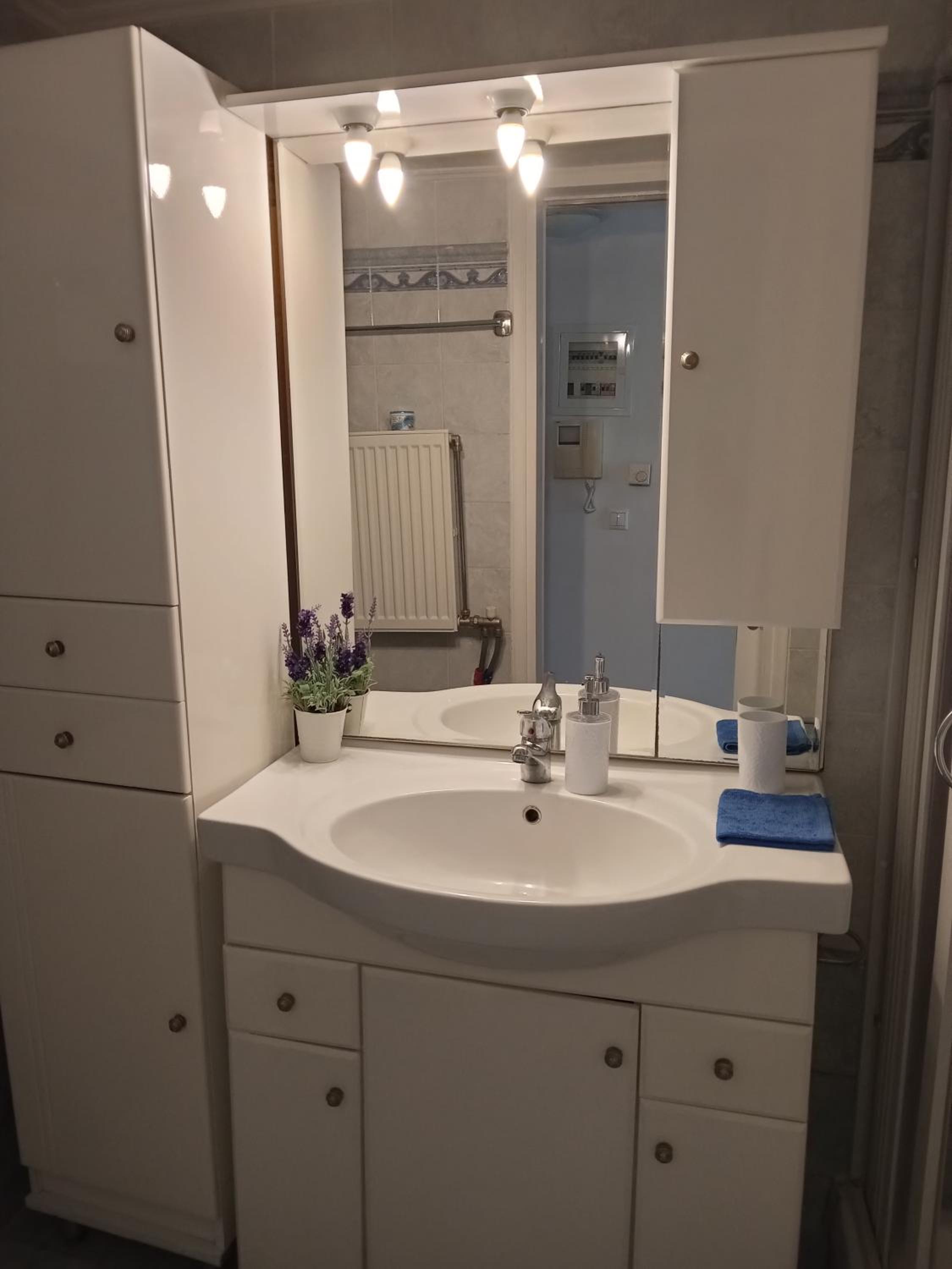 One-Bedroom Apartment photo 2