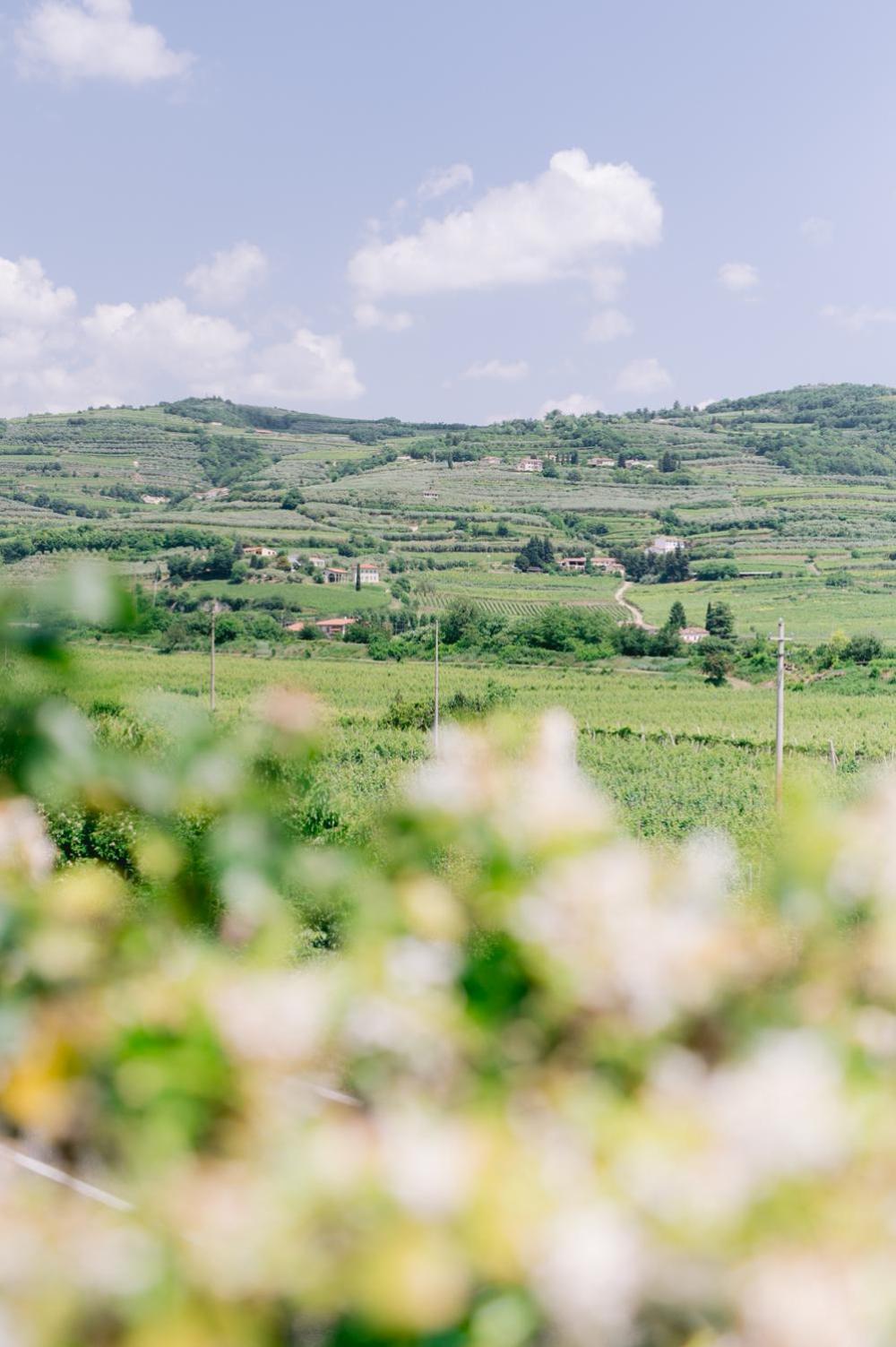 BACCO D'ORO Vino &amp; Relais, Foto 16