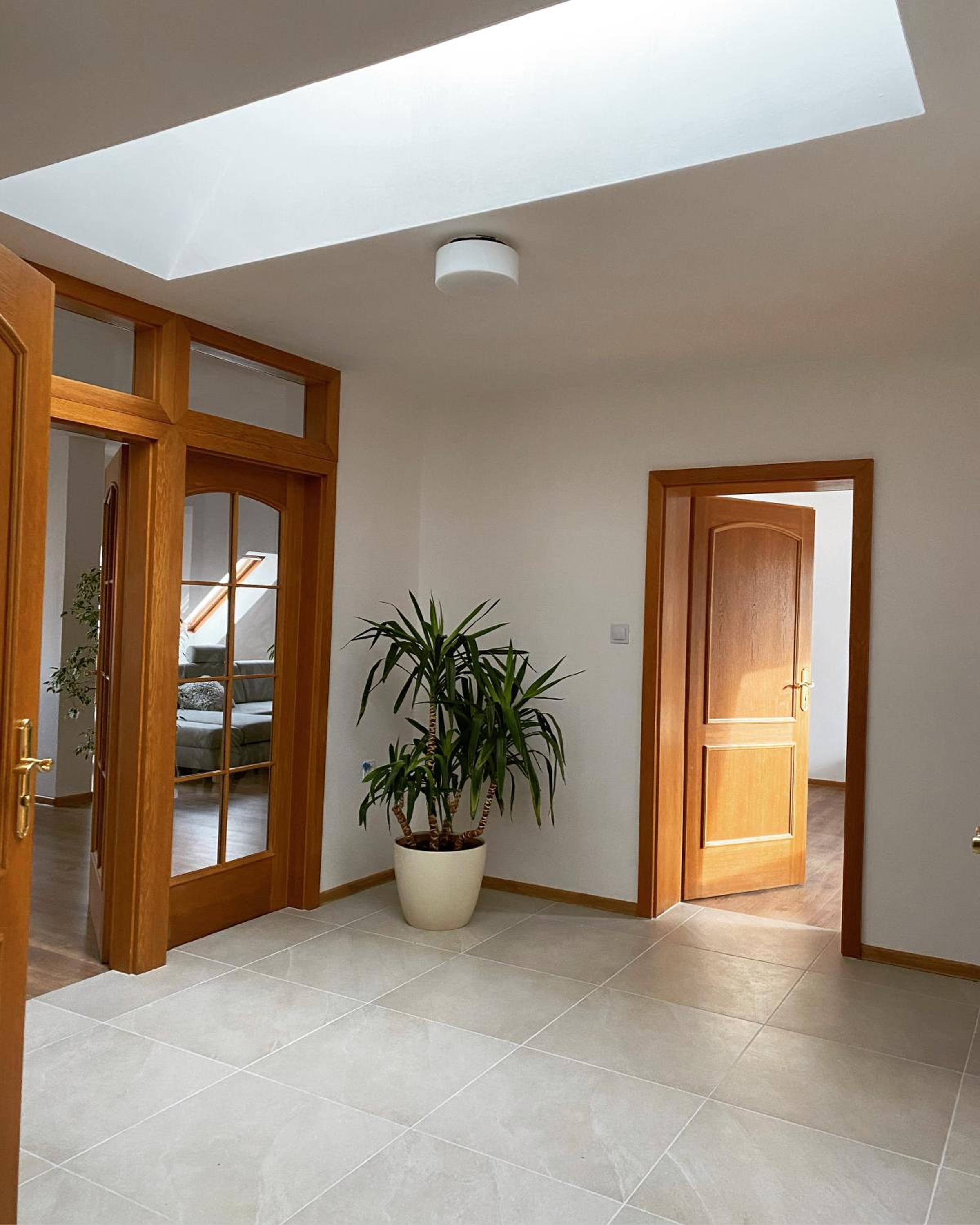 Apartment - Photo 2