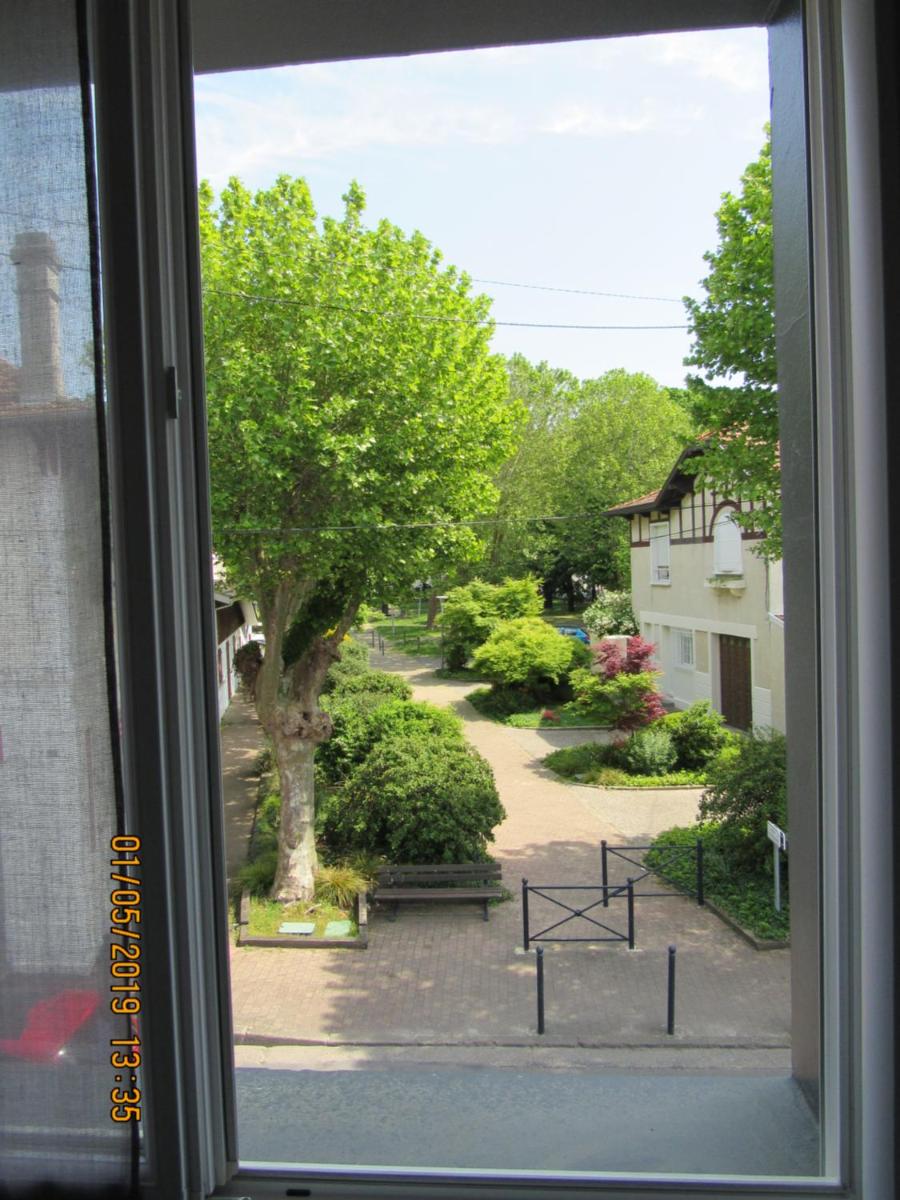Standard Family Room - Street Side photo 2