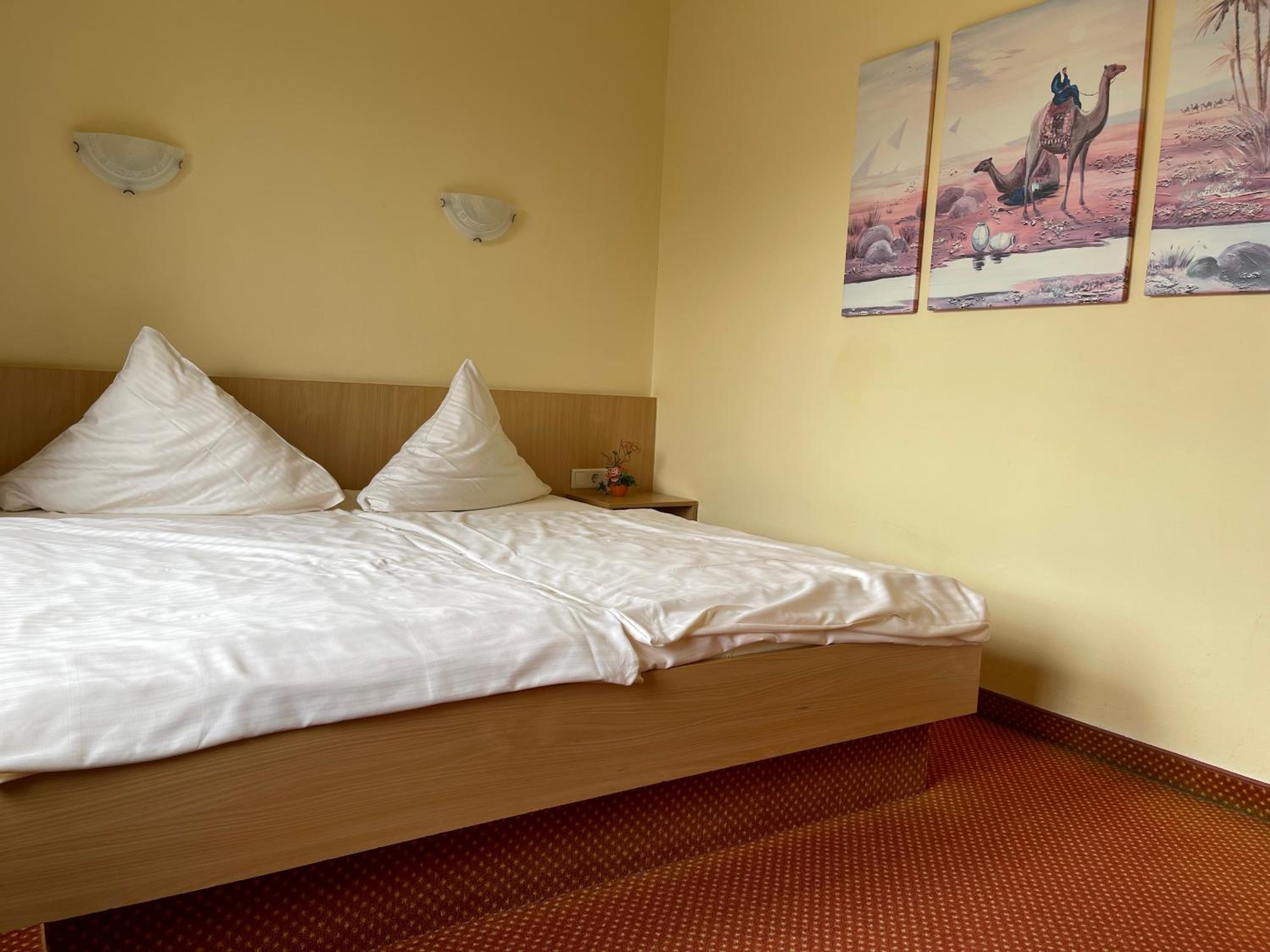 Large One-Bedroom Apartment