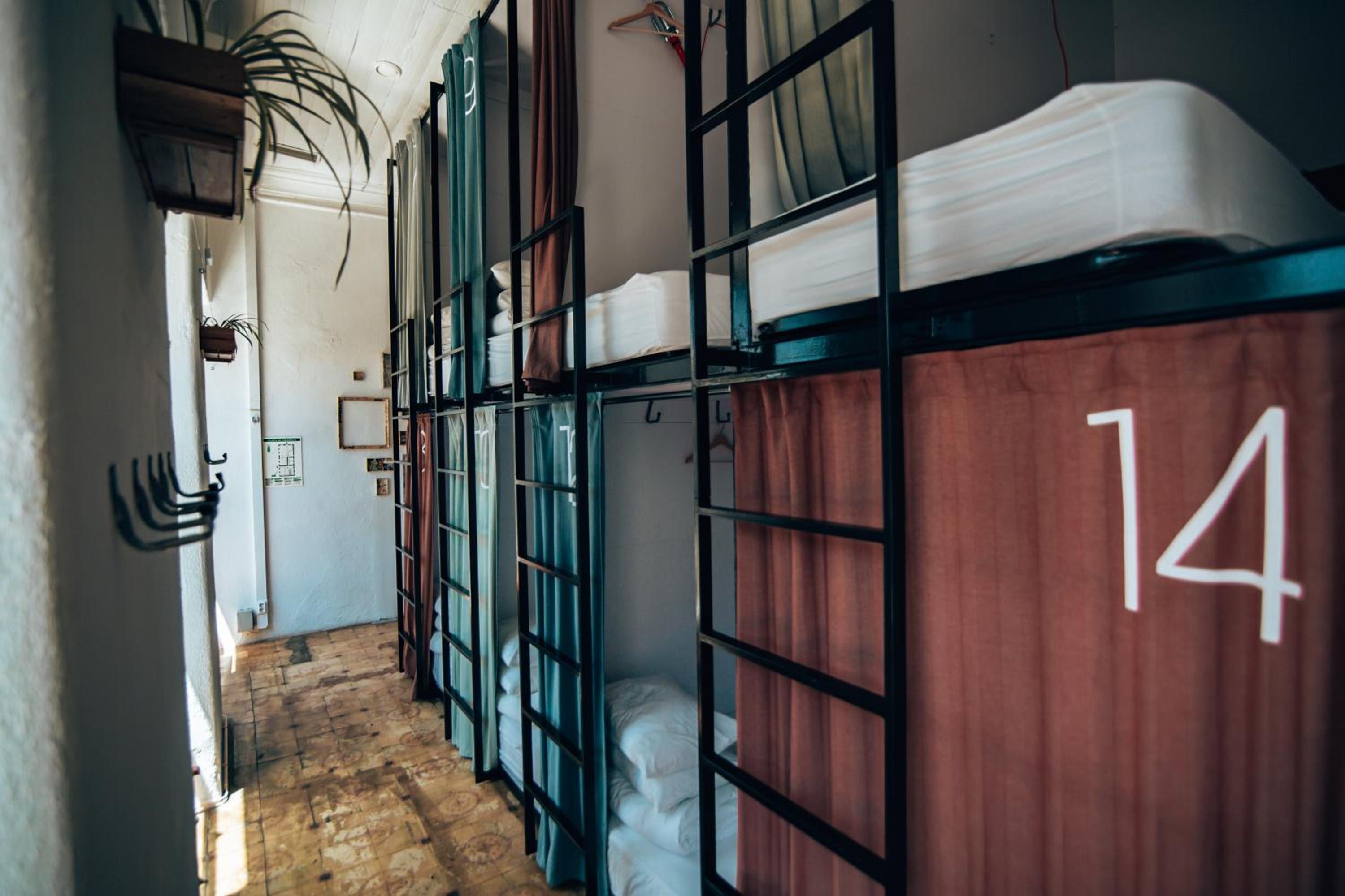 Single Bed in 10-Bed Dormitory Room photo 1