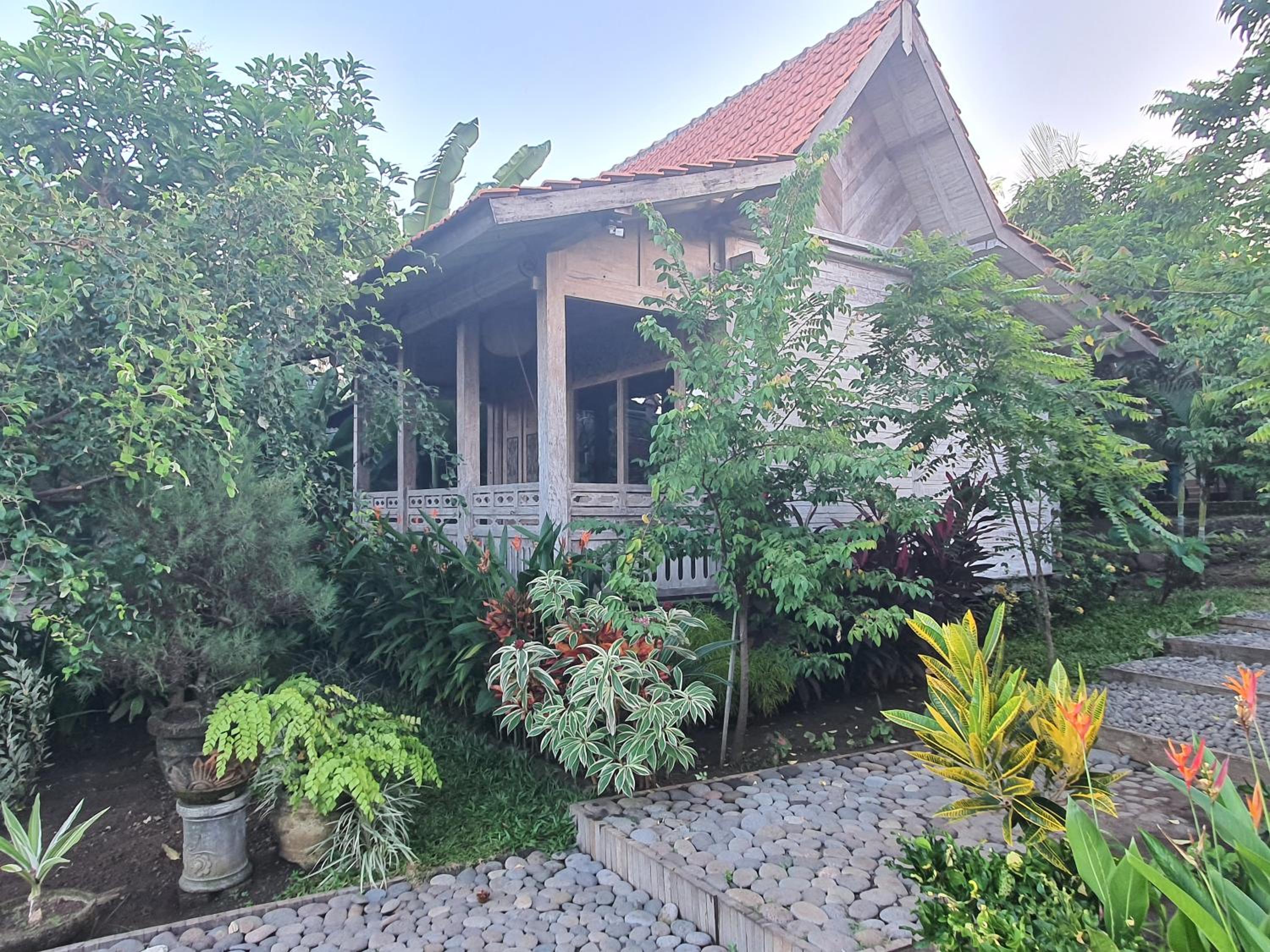 Wooden House Sea View photo 3